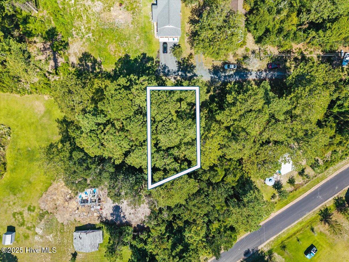 100538571 | Photo 30