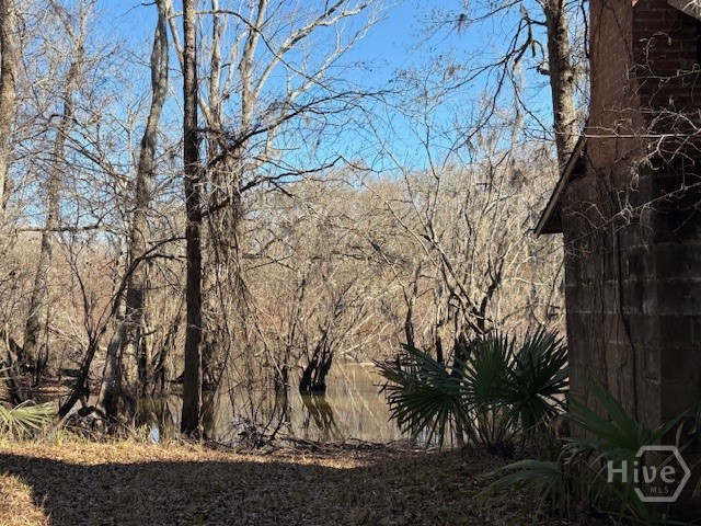 1000 Old River Road S, Brooklet, GA, 30415