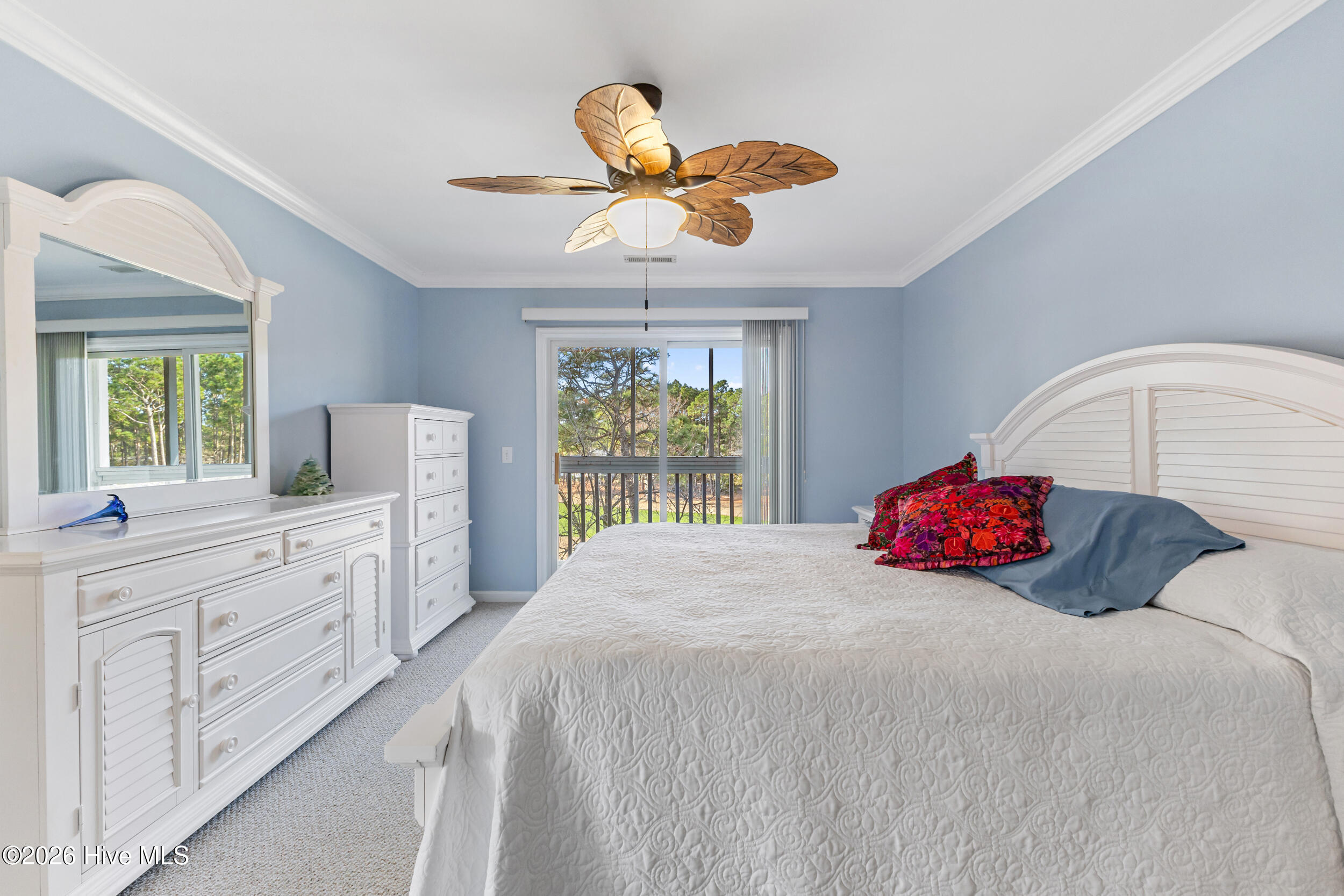 100548612 | Photo 15