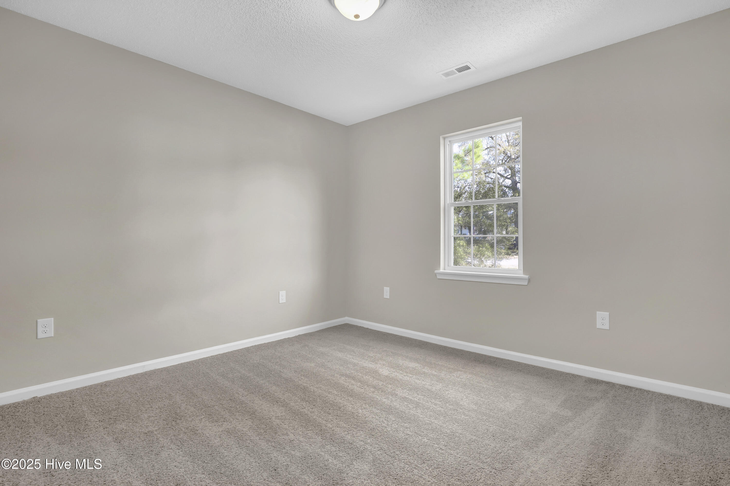 100545251 | Photo 21