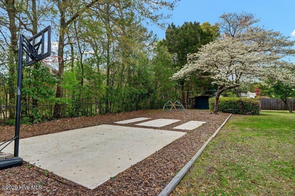 100562479 | Photo 44