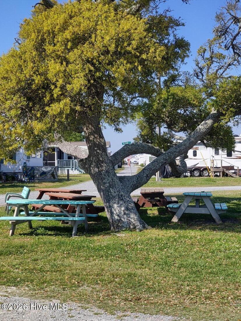 100567863 | Photo 49