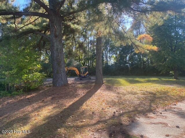 Homes for sale in Robersonville, NC | 413 Pecan St, Robersonville, NC 27871 | MLS# 100544118