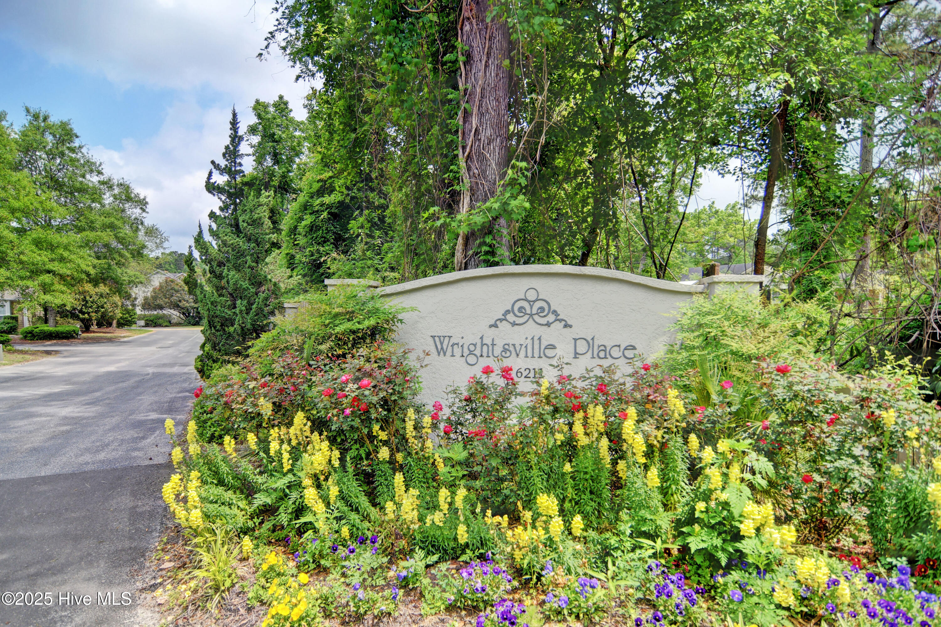 100557867 | Photo 27