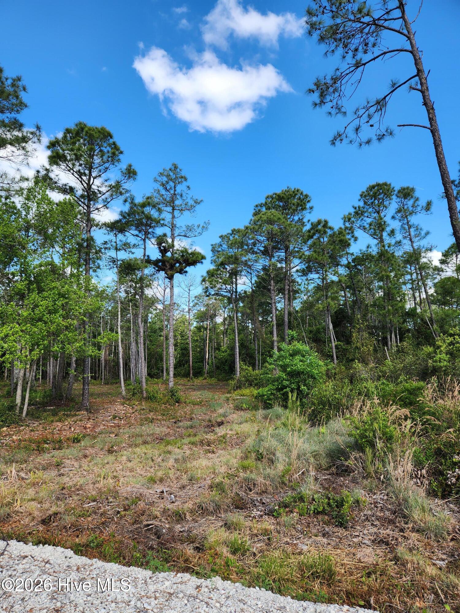Shirley Johnson - MLS Number: 100479507