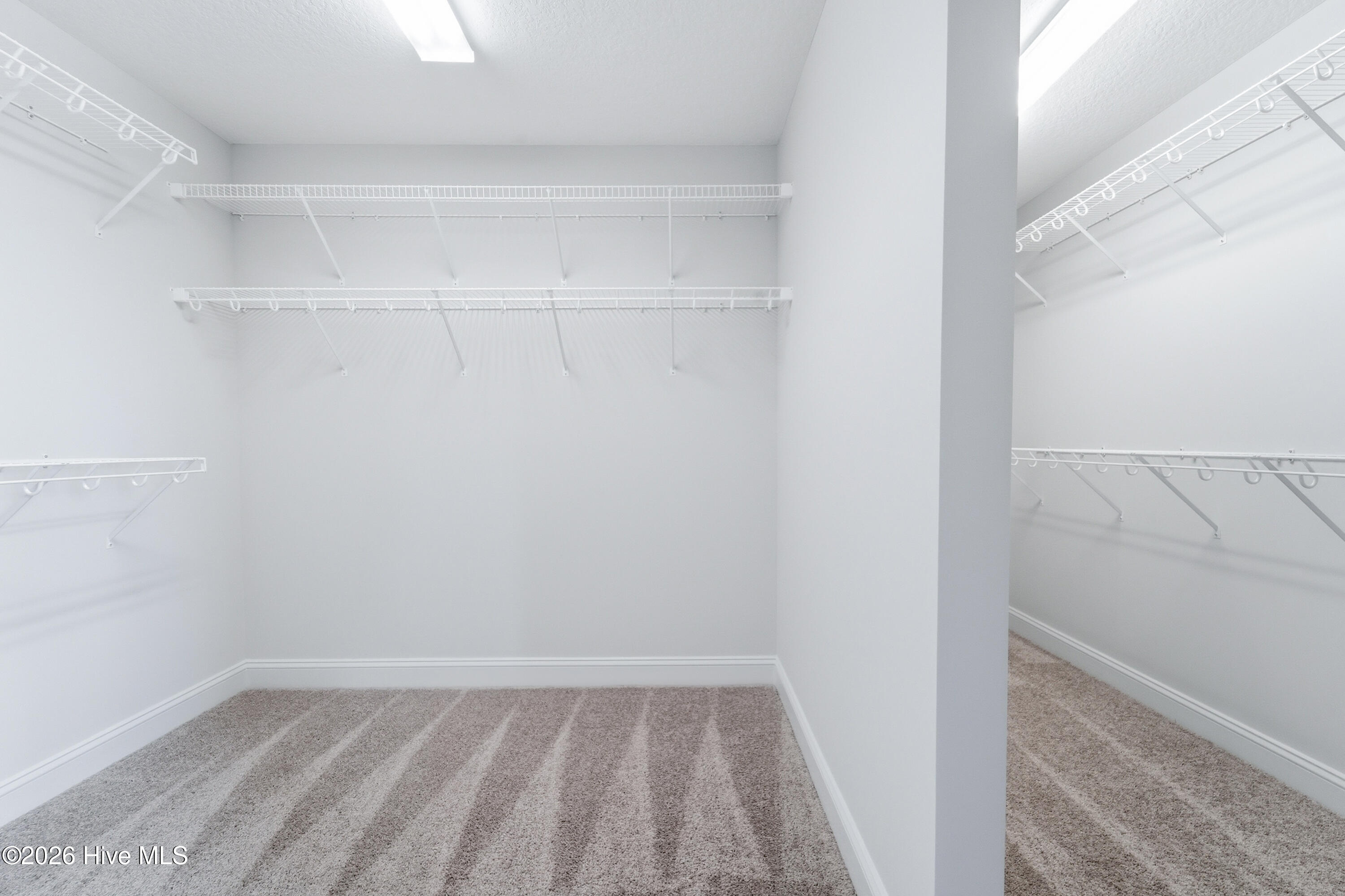 100519868 | Photo 21