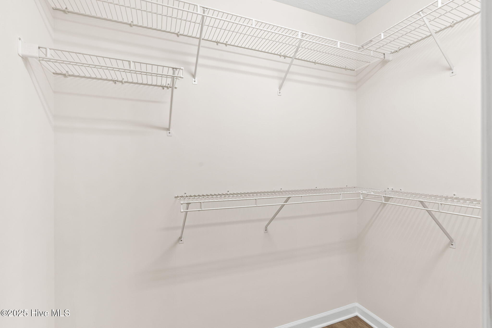 100551974 | Photo 23