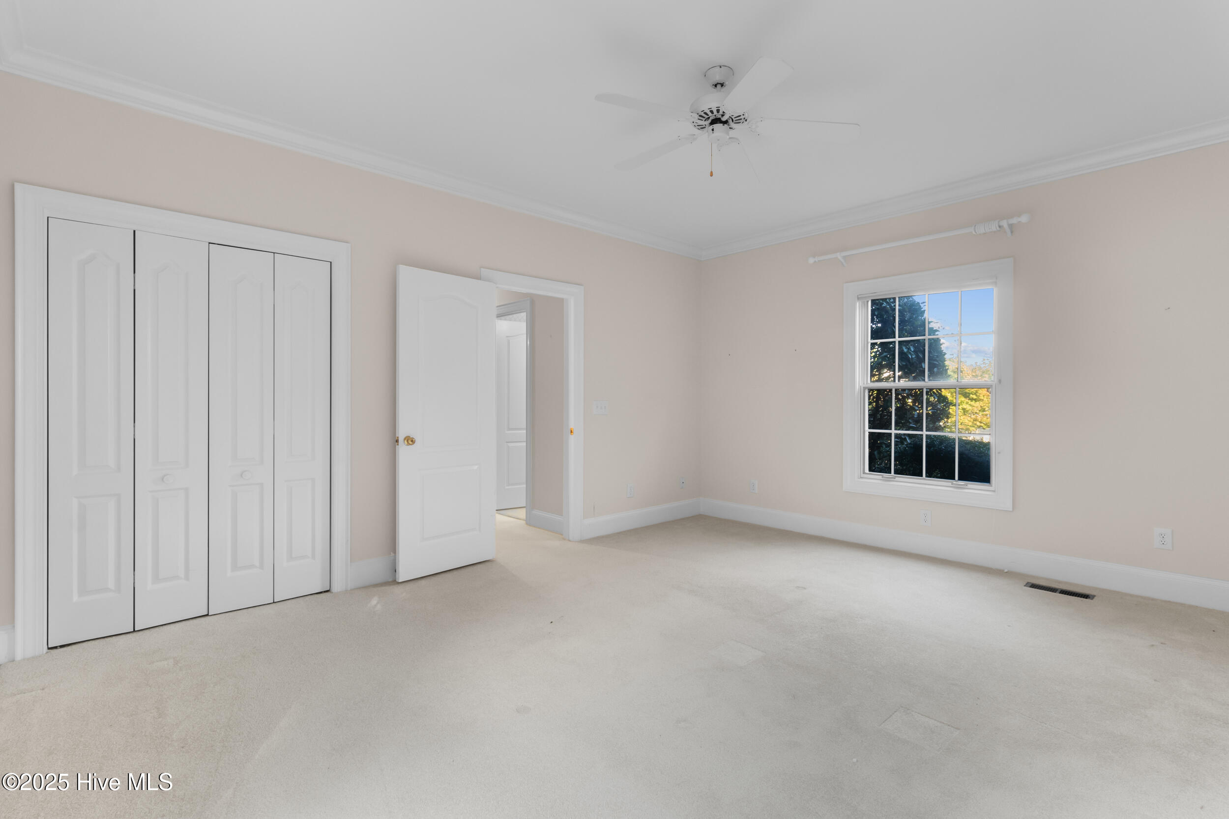 100516126 | Photo 12