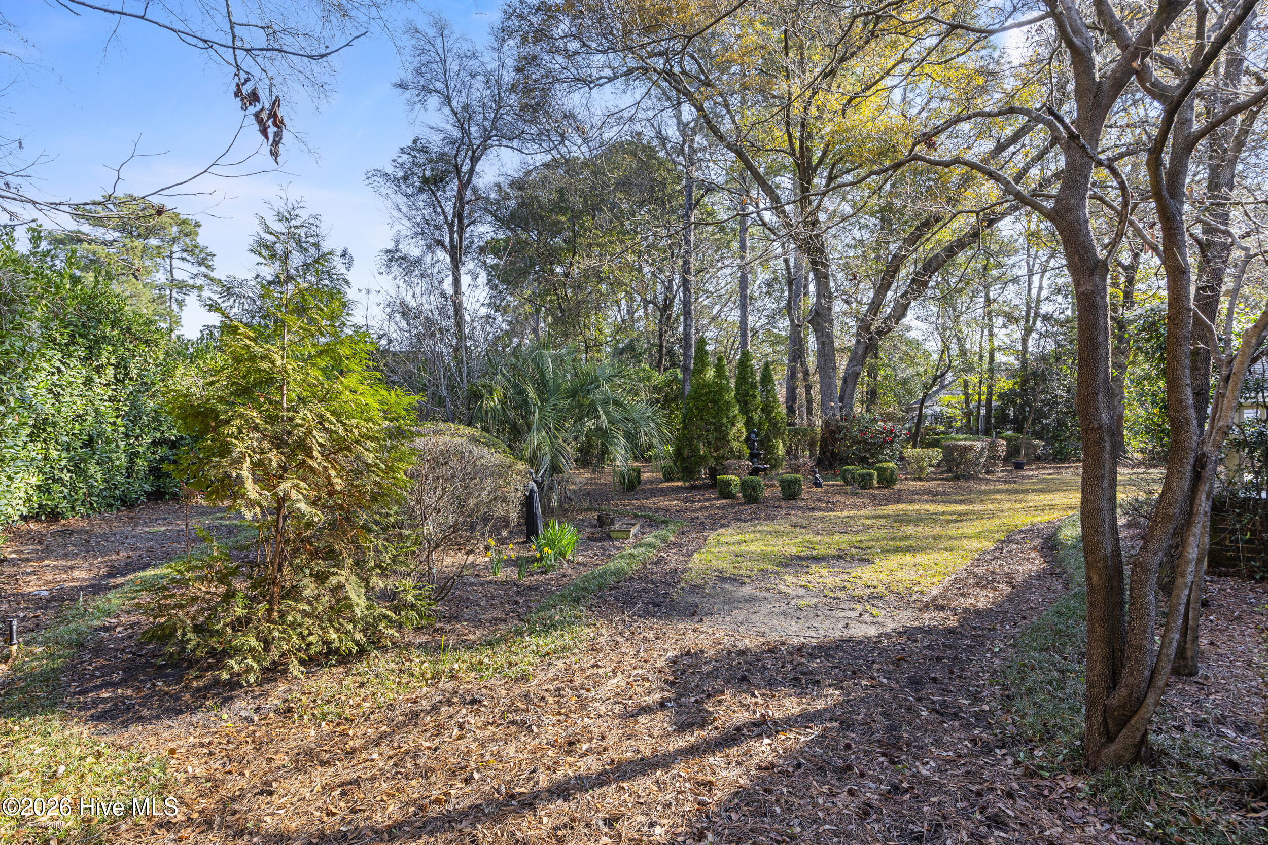 100560704 | Photo 69