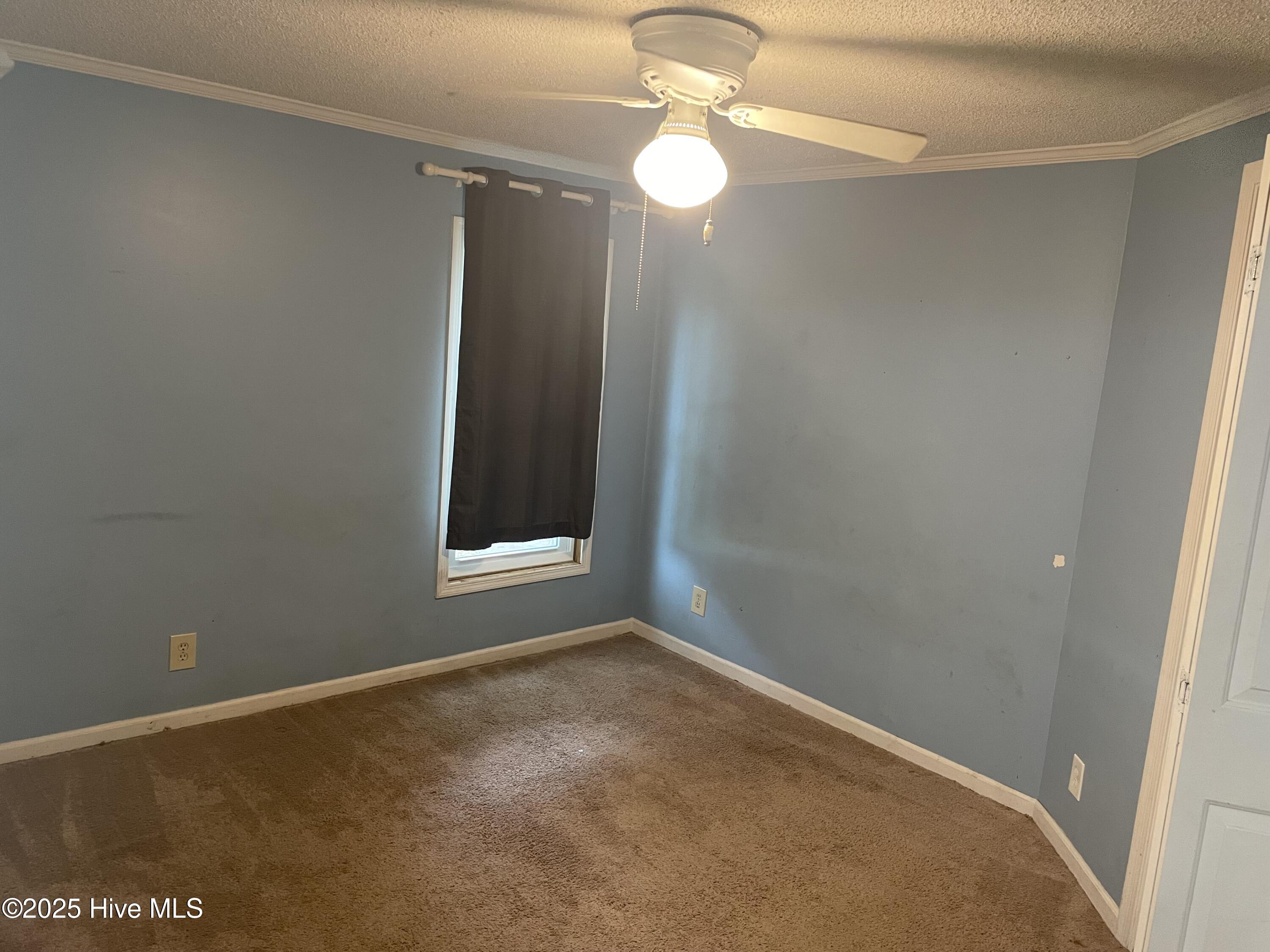 1660 White Duck Court SW, Supply, NC 28462 – photo 19: IMG_0685