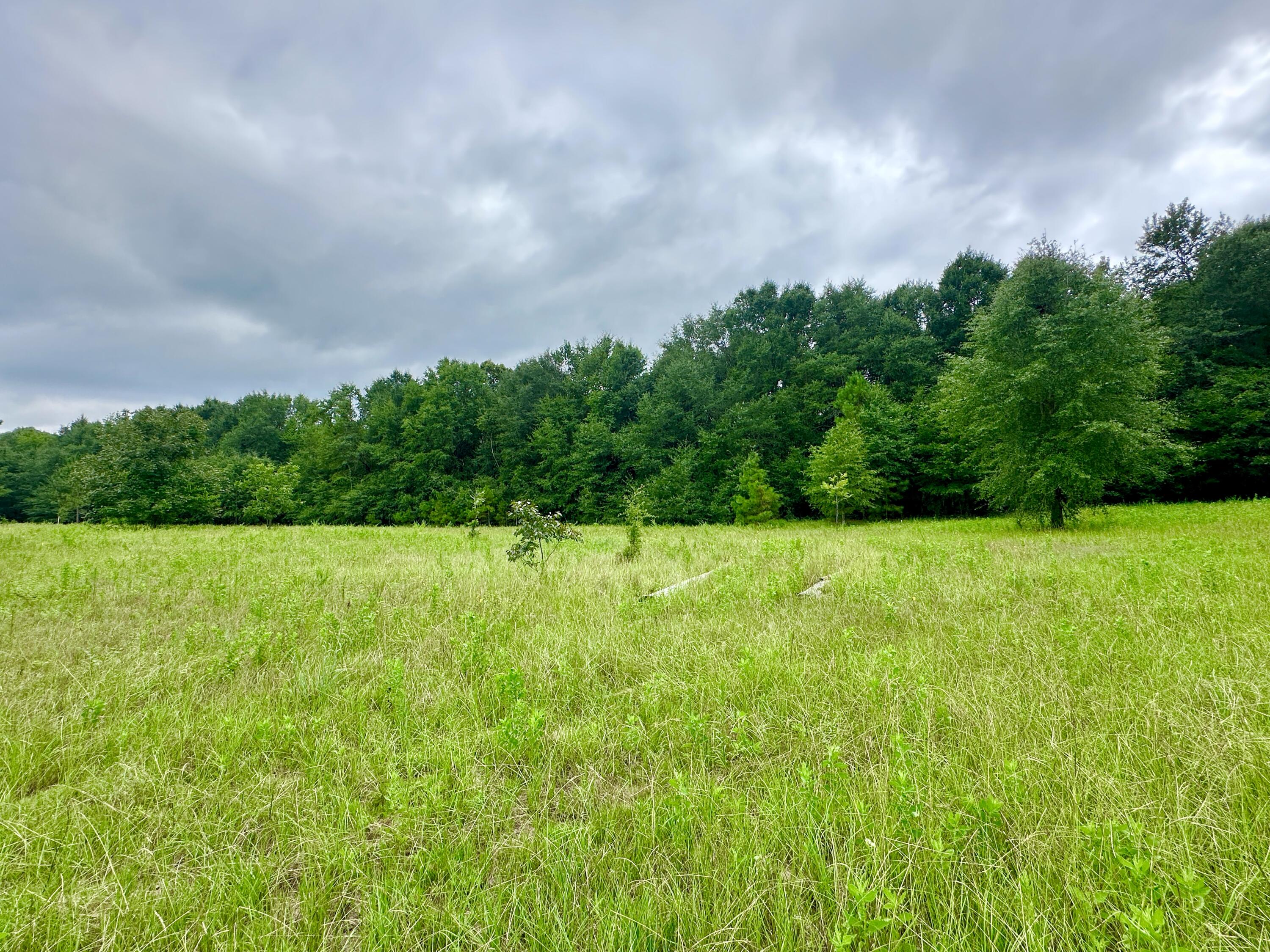 Homes for sale in Waynesboro, GA | 0 S 23 Hwy, Waynesboro, GA 30830 | MLS# 545885