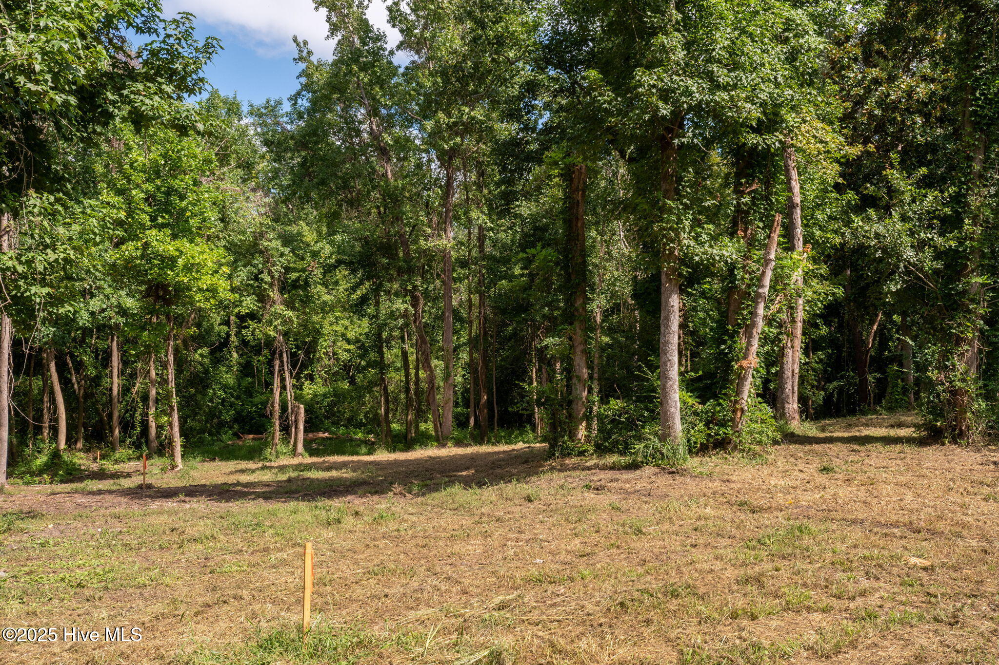 100524642 | Photo 10