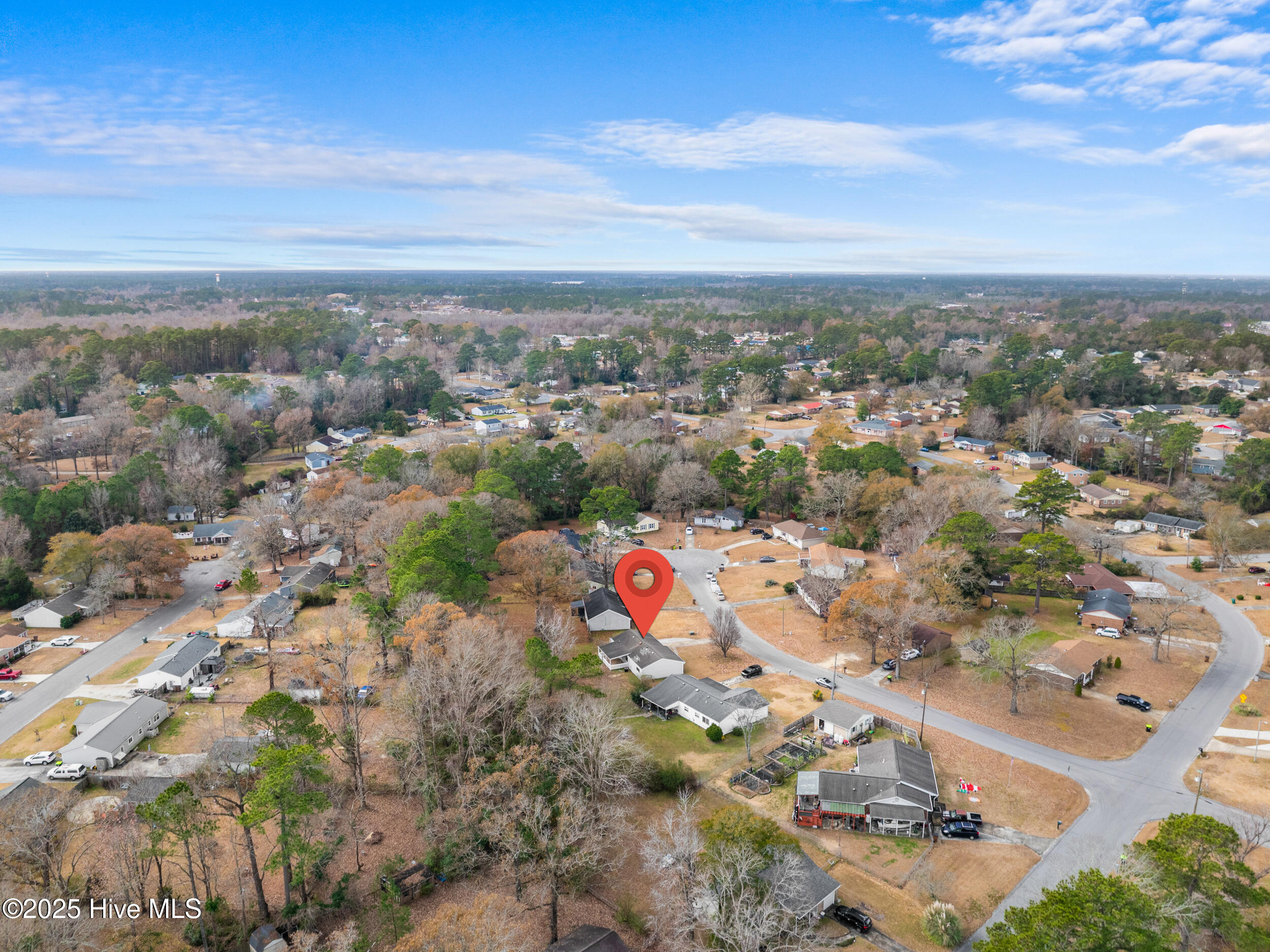 100546009 | Photo 58