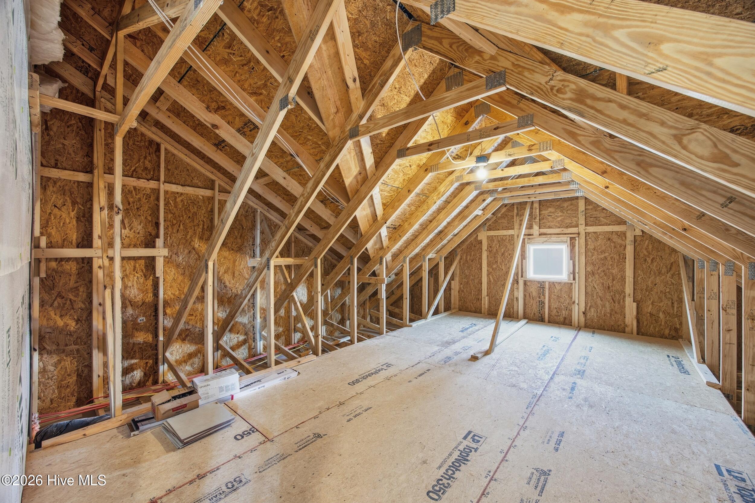 100546263 | Photo 16