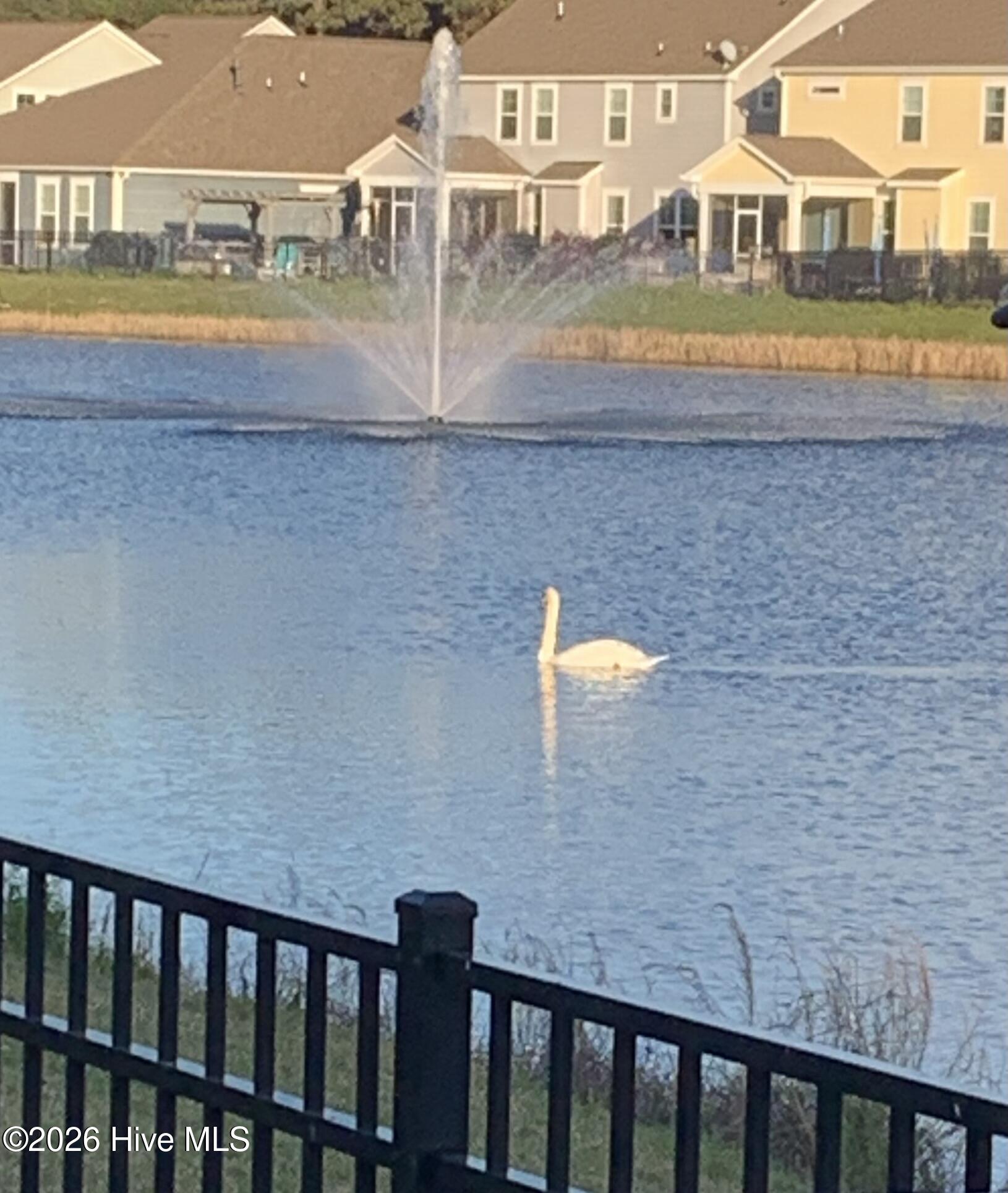 100554574 | Photo 27