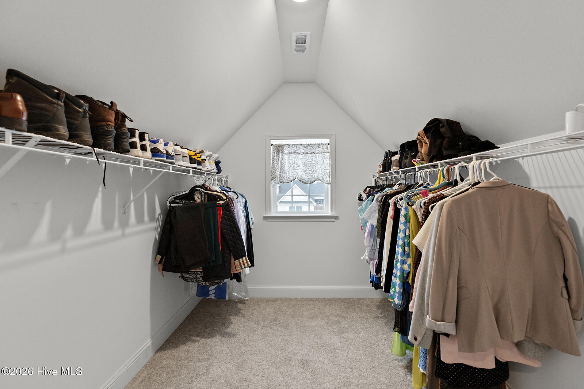 100549567 | Photo 38