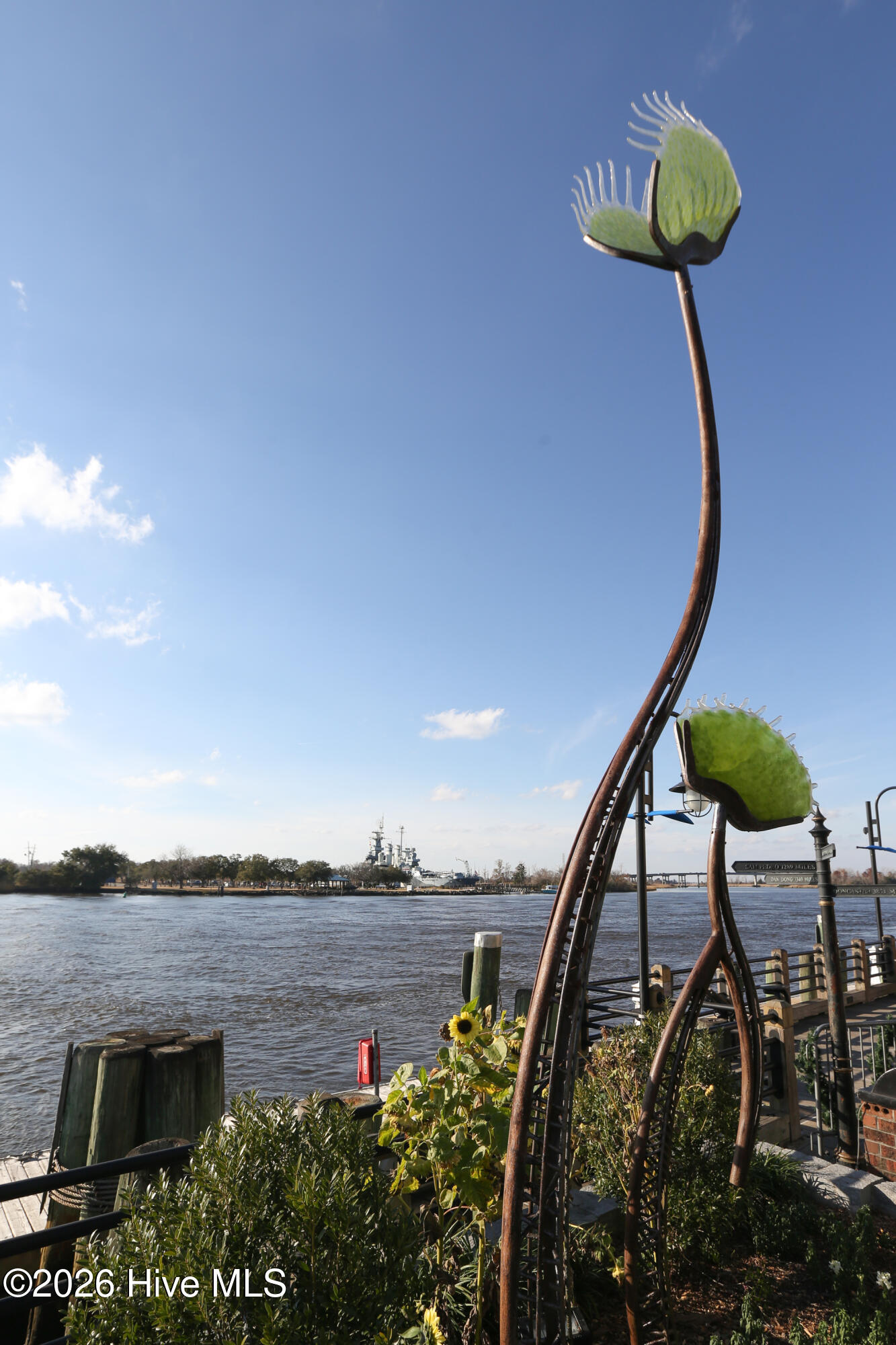 100564635 | Photo 34