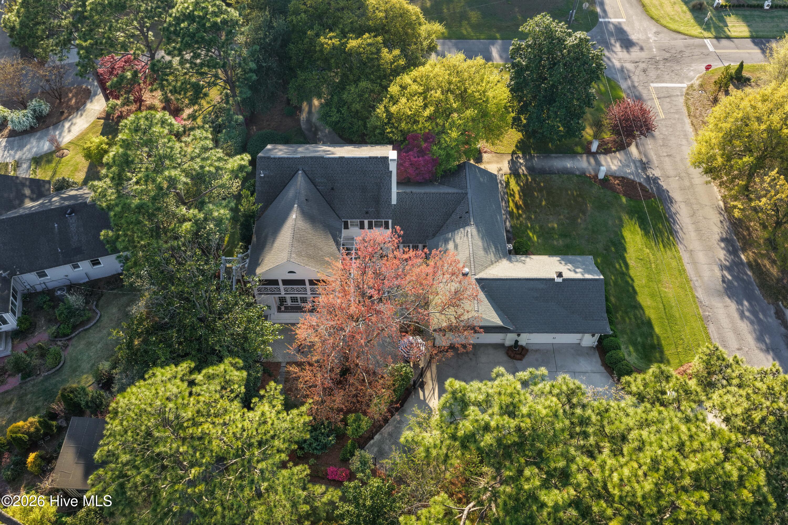 100565005 | Photo 61