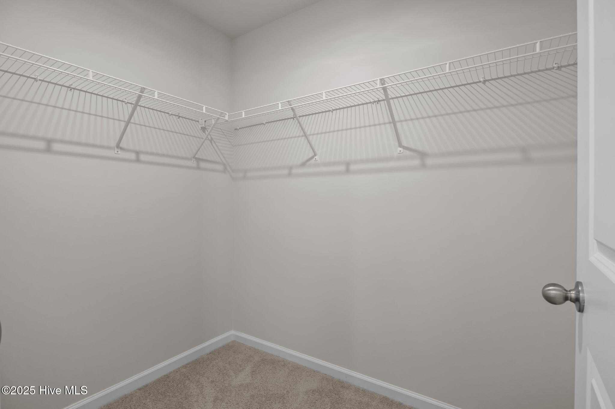 100542693 | Photo 41