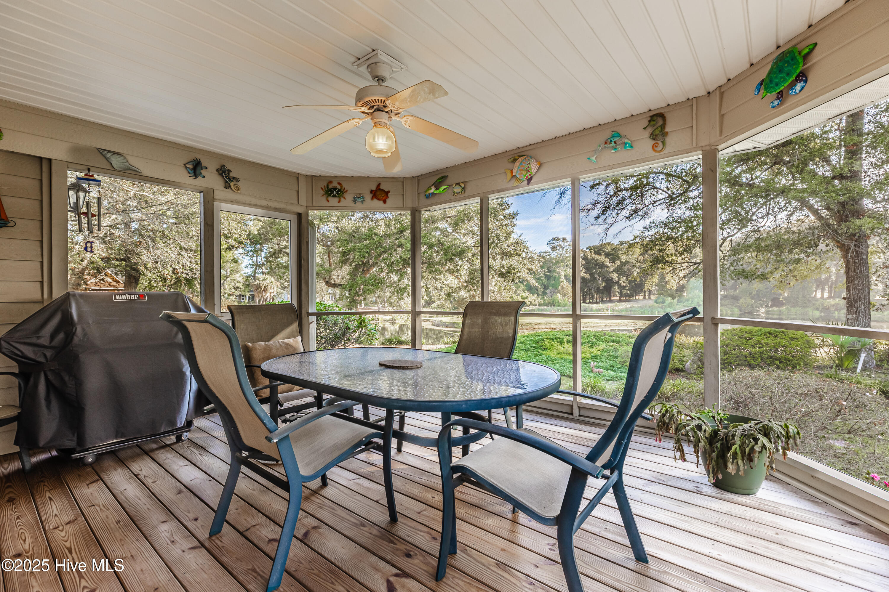 100535569 | Photo 30