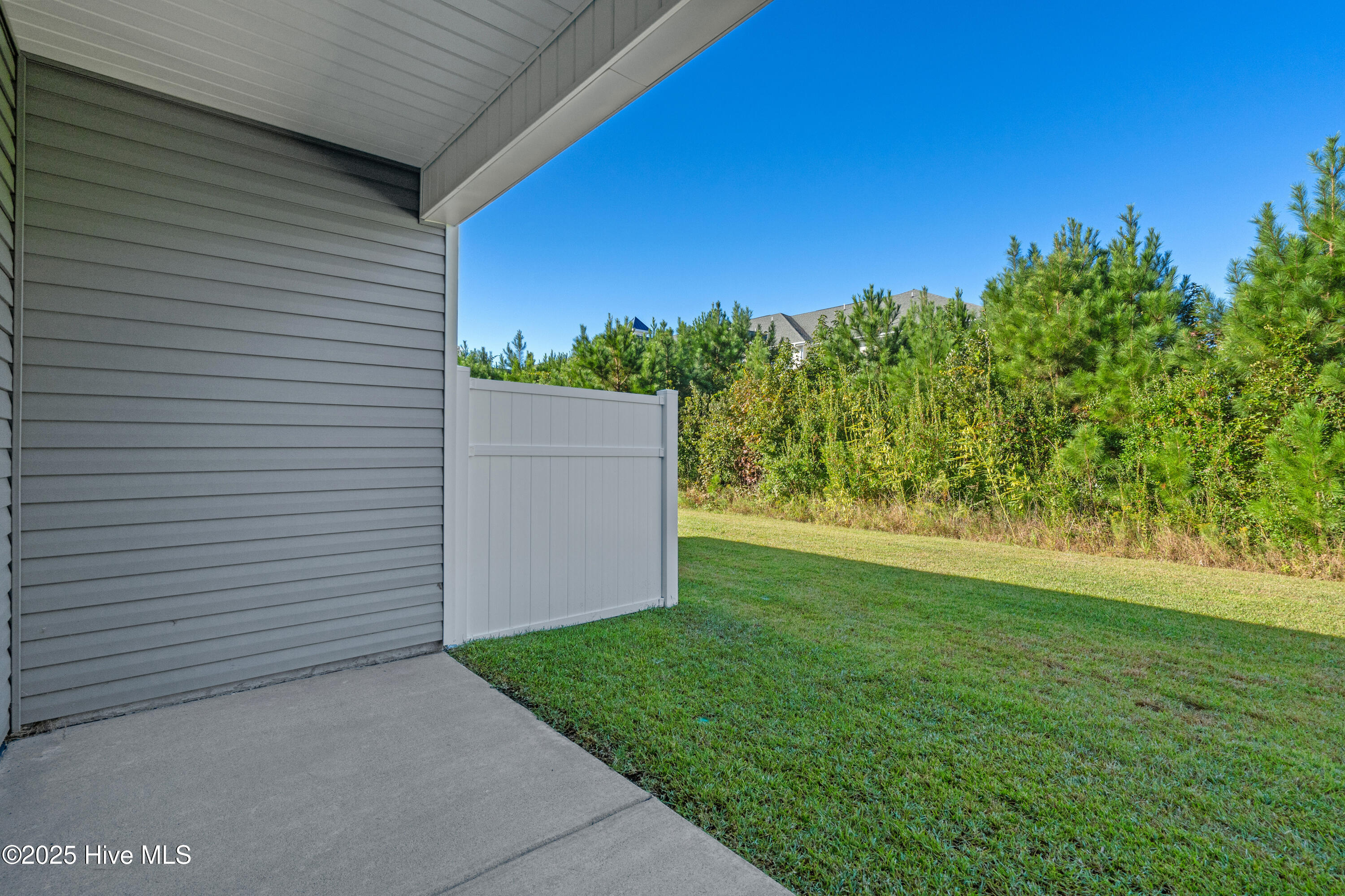 100536974 | Photo 30