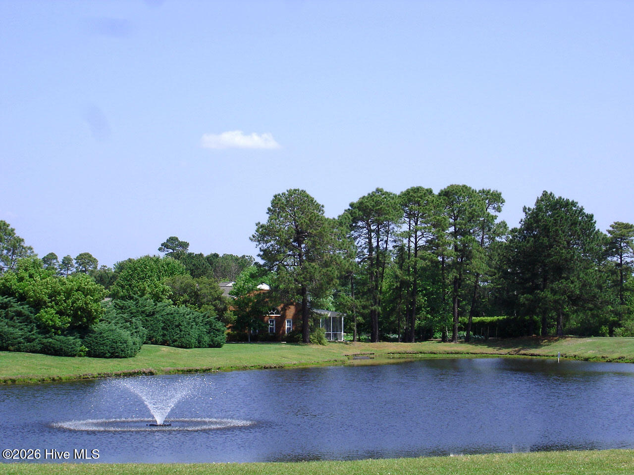 100554525 | Photo 56