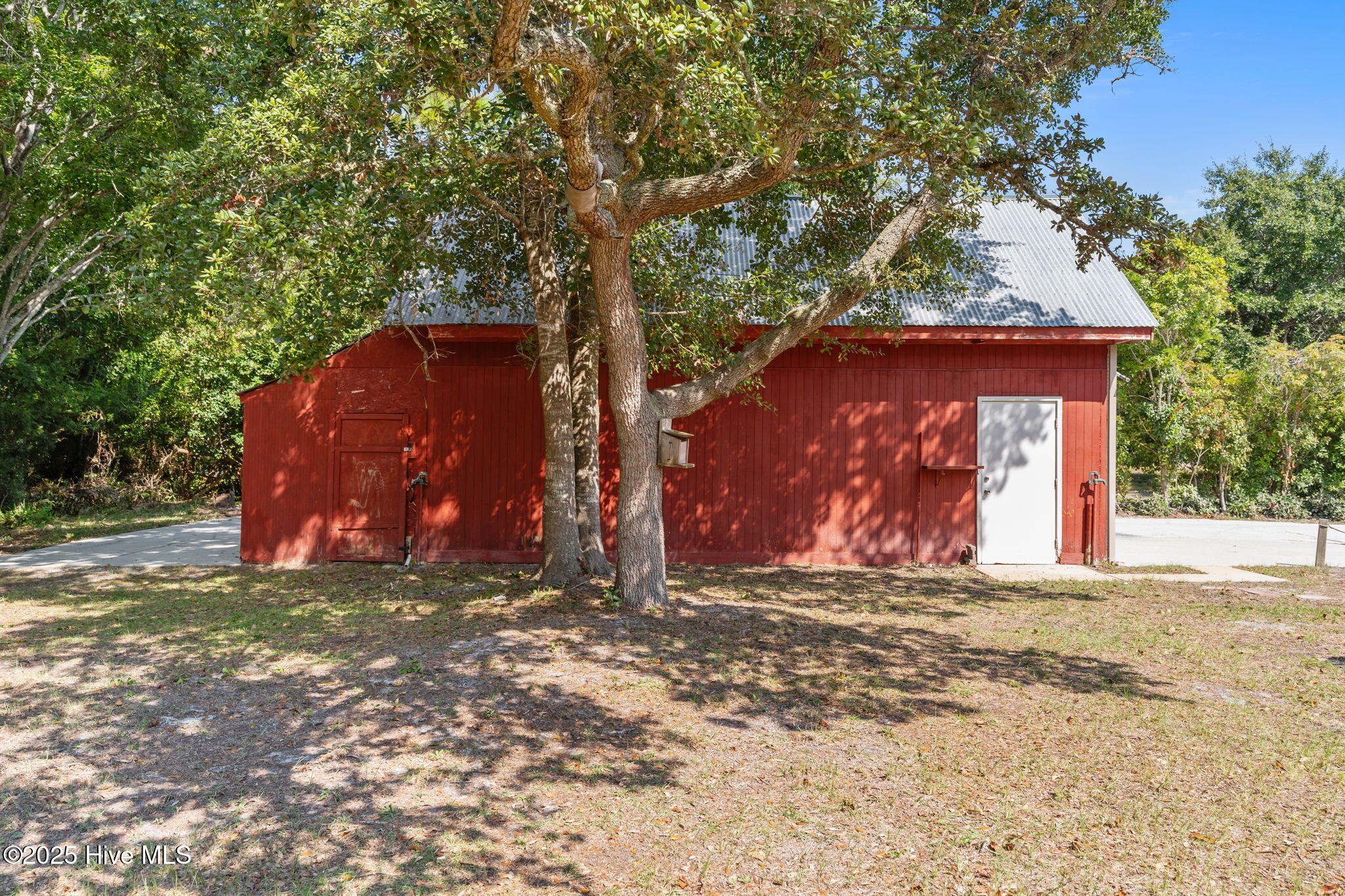 100531934 | Photo 46