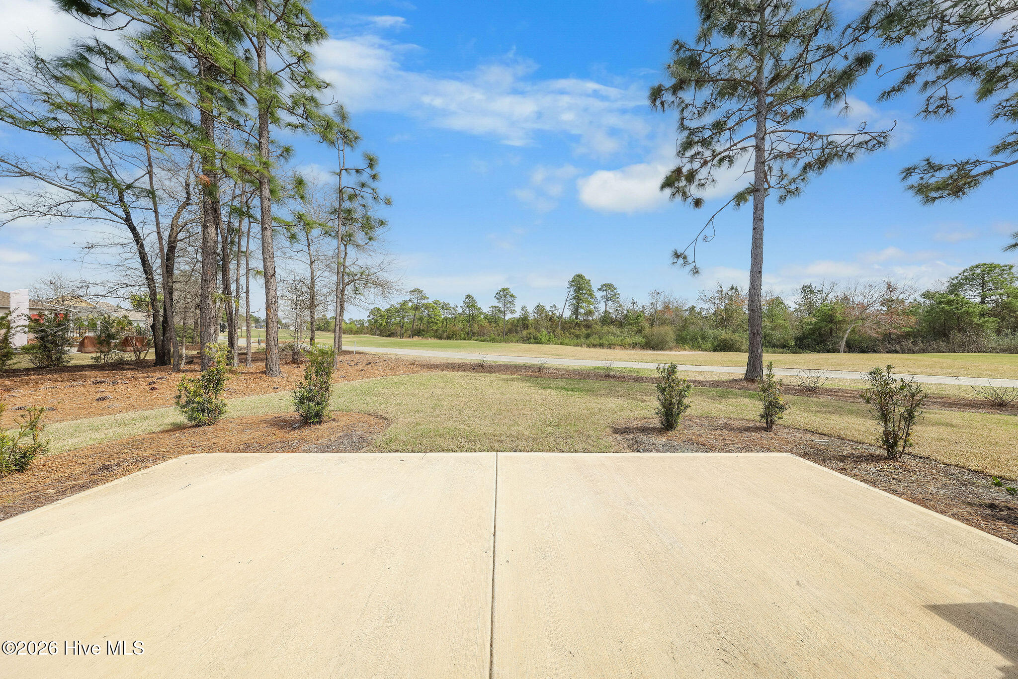 100564849 | Photo 18