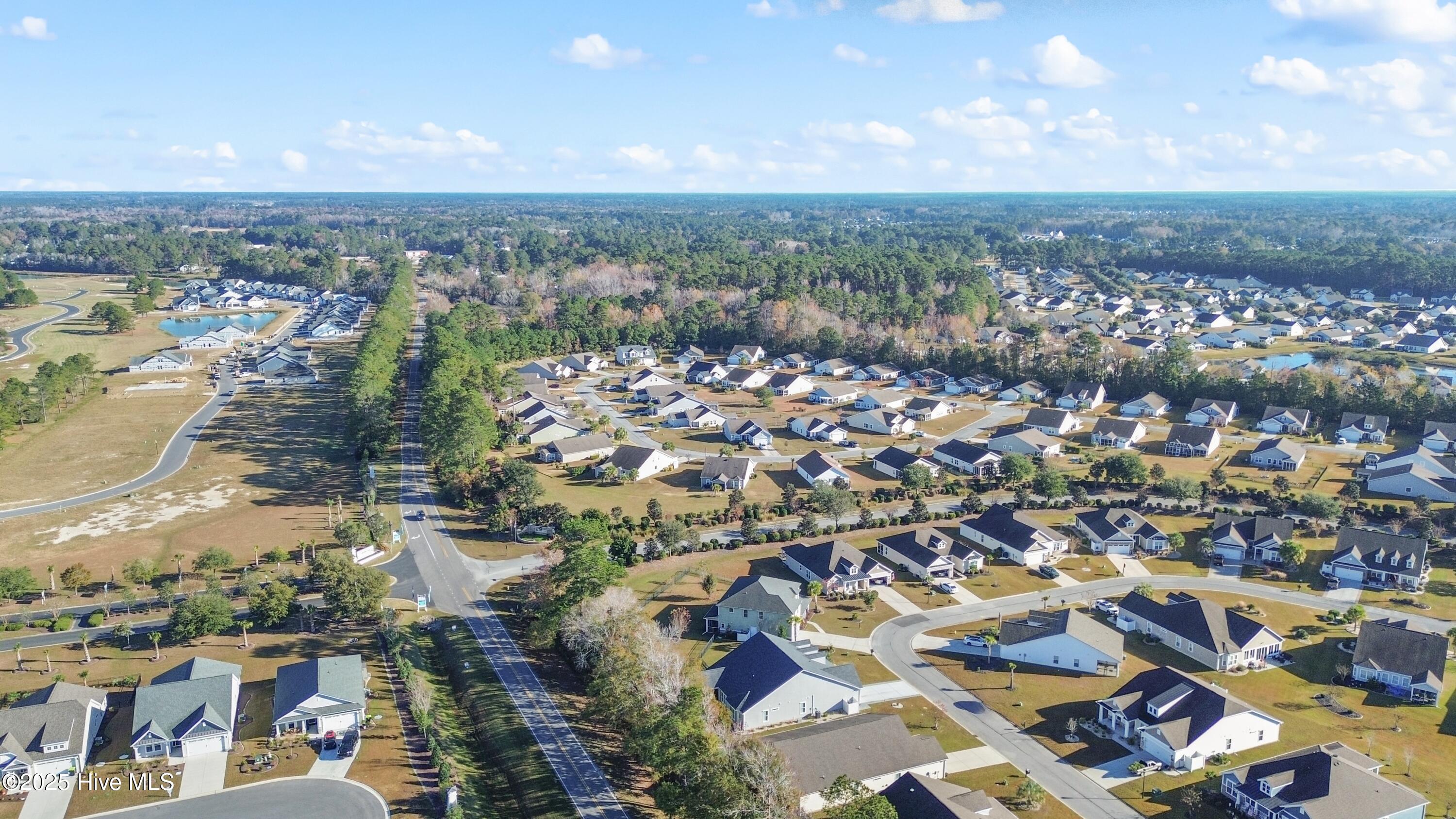 100542898 | Photo 53