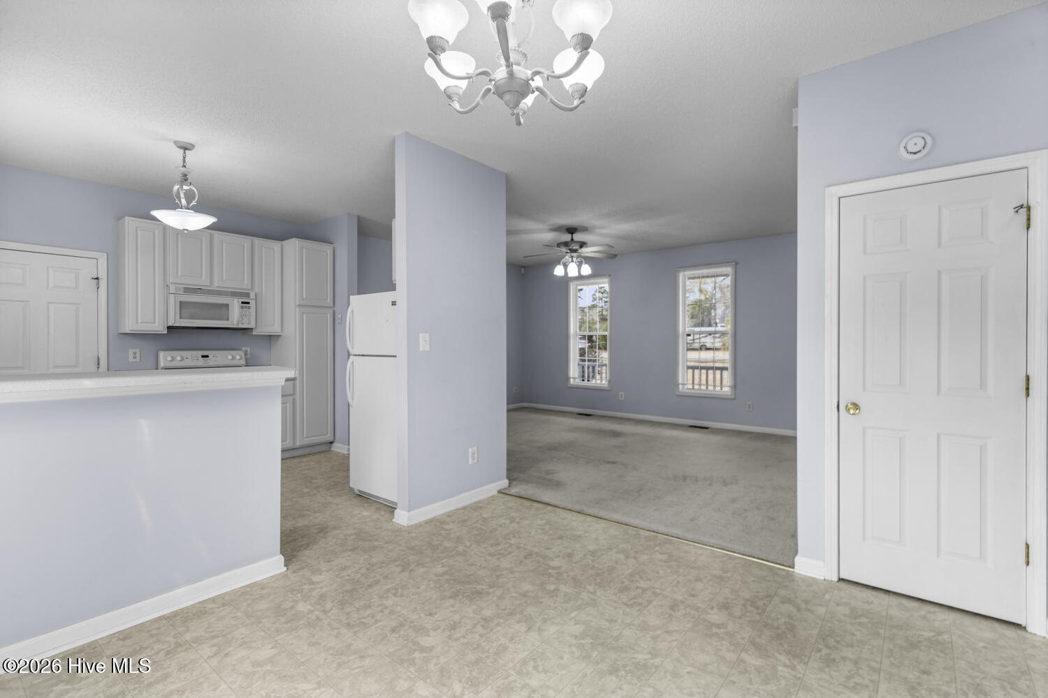 100553913 | Photo 11