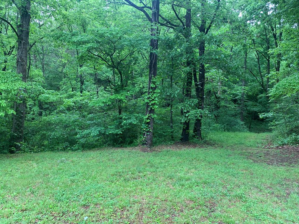 Exterior photo of 805 Bethabara Road, Hayesville, NC 28904. MLS: 98544661