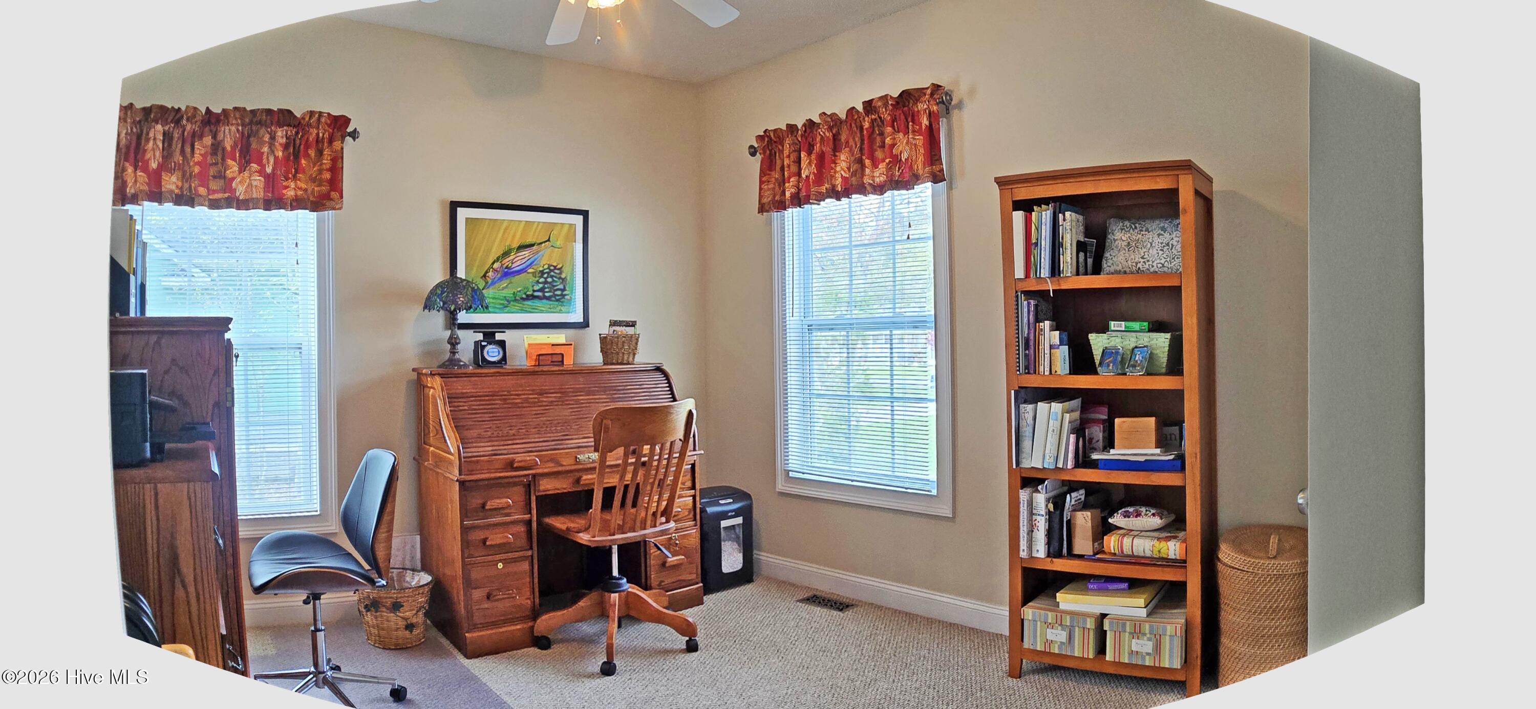 100565101 | Photo 14