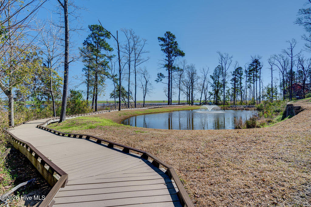 100547233 | Photo 50