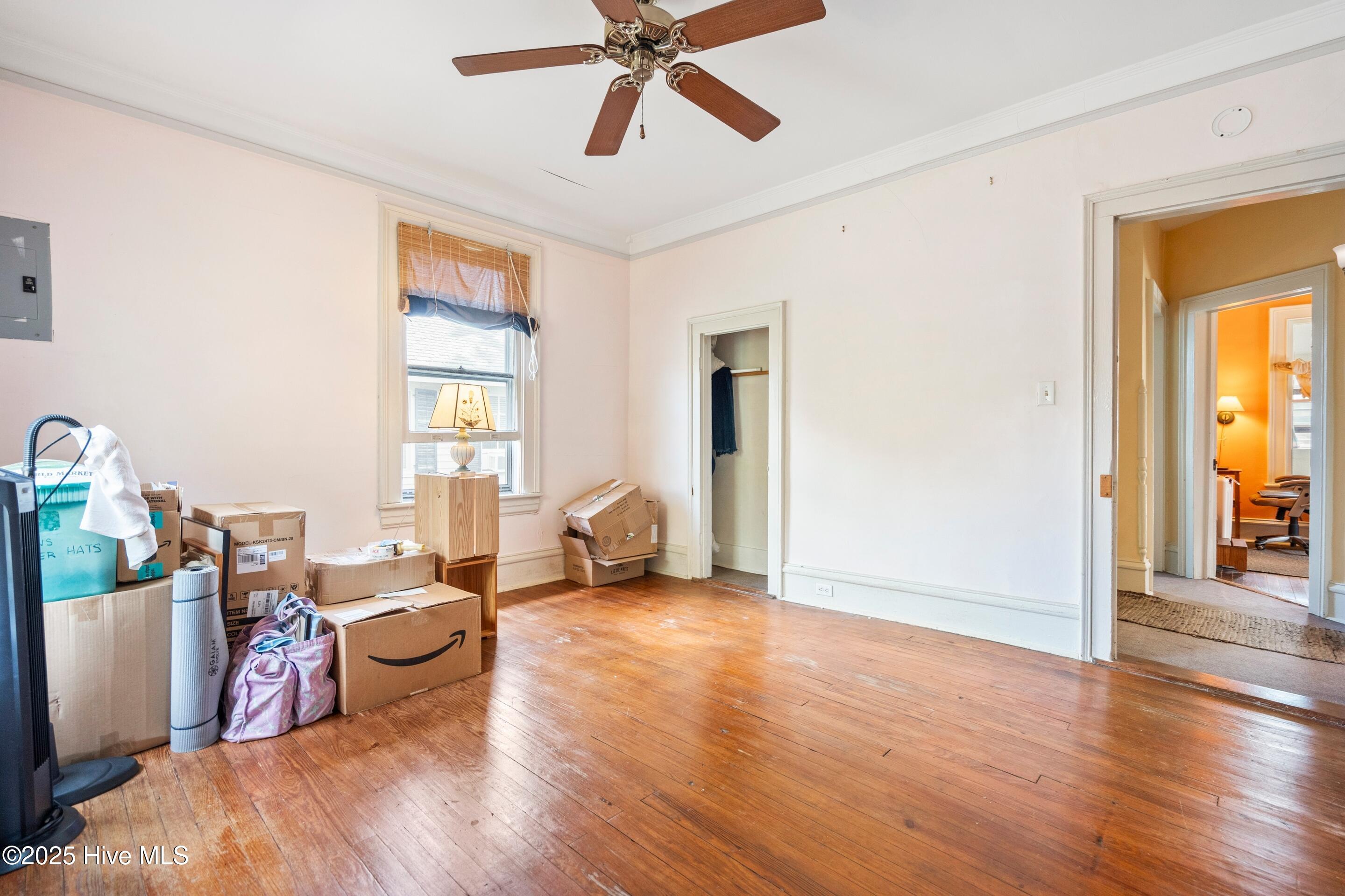 100535914 | Photo 29