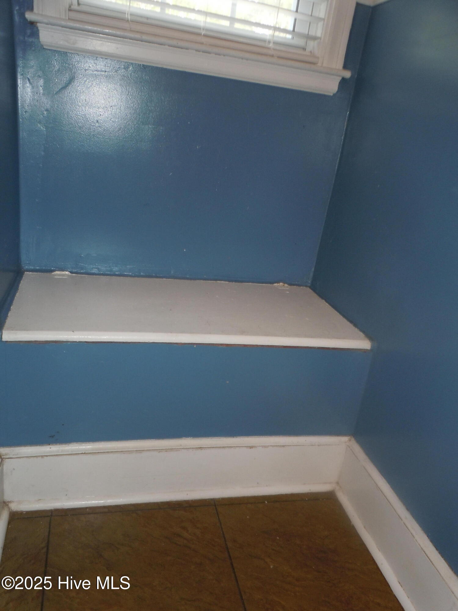 100536293 | Photo 41