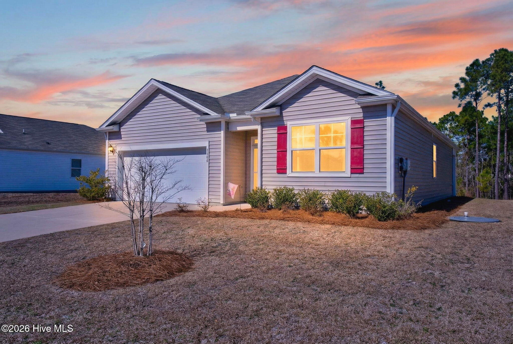 100556971 | Photo 29