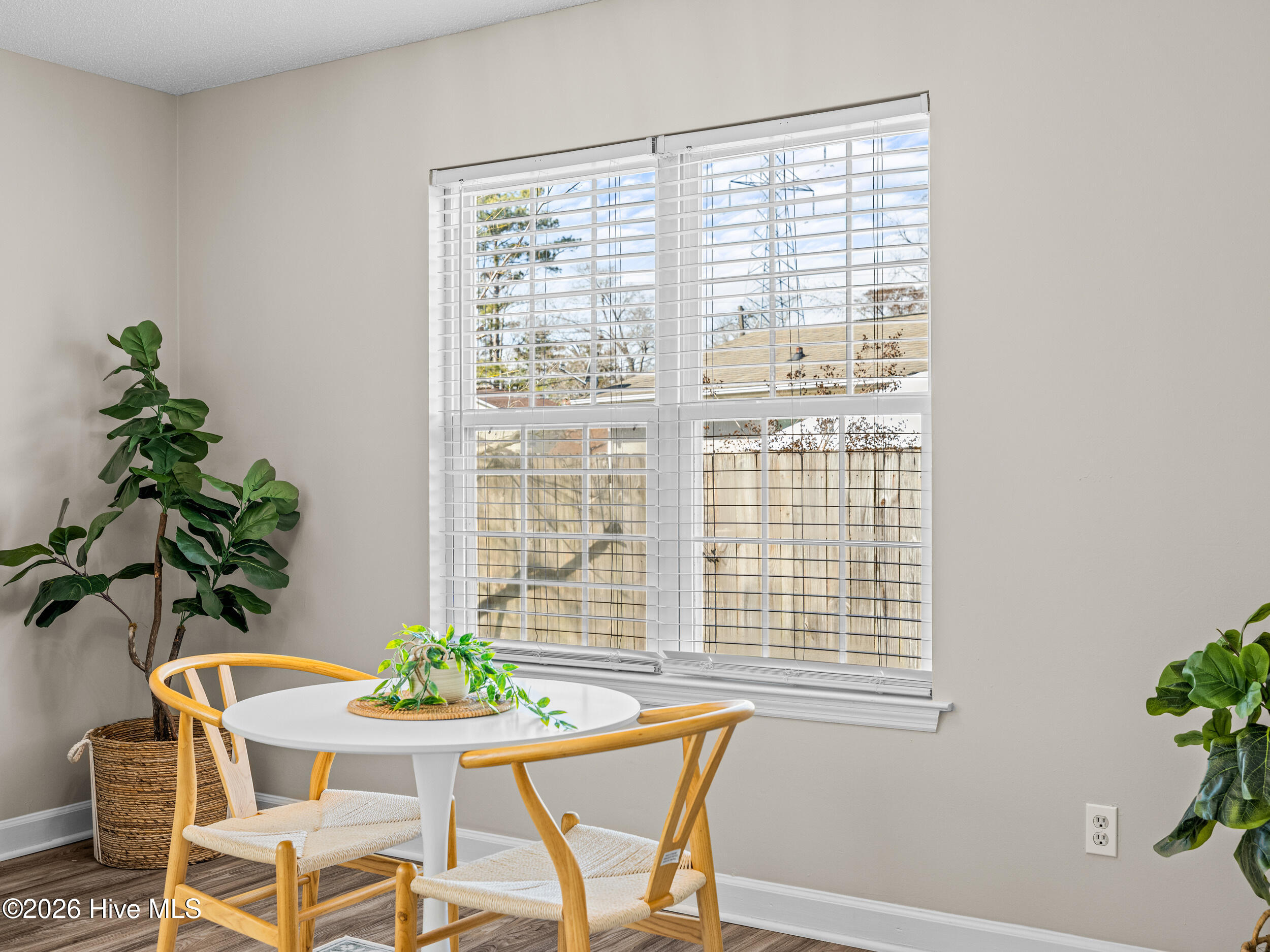 100554469 | Photo 18