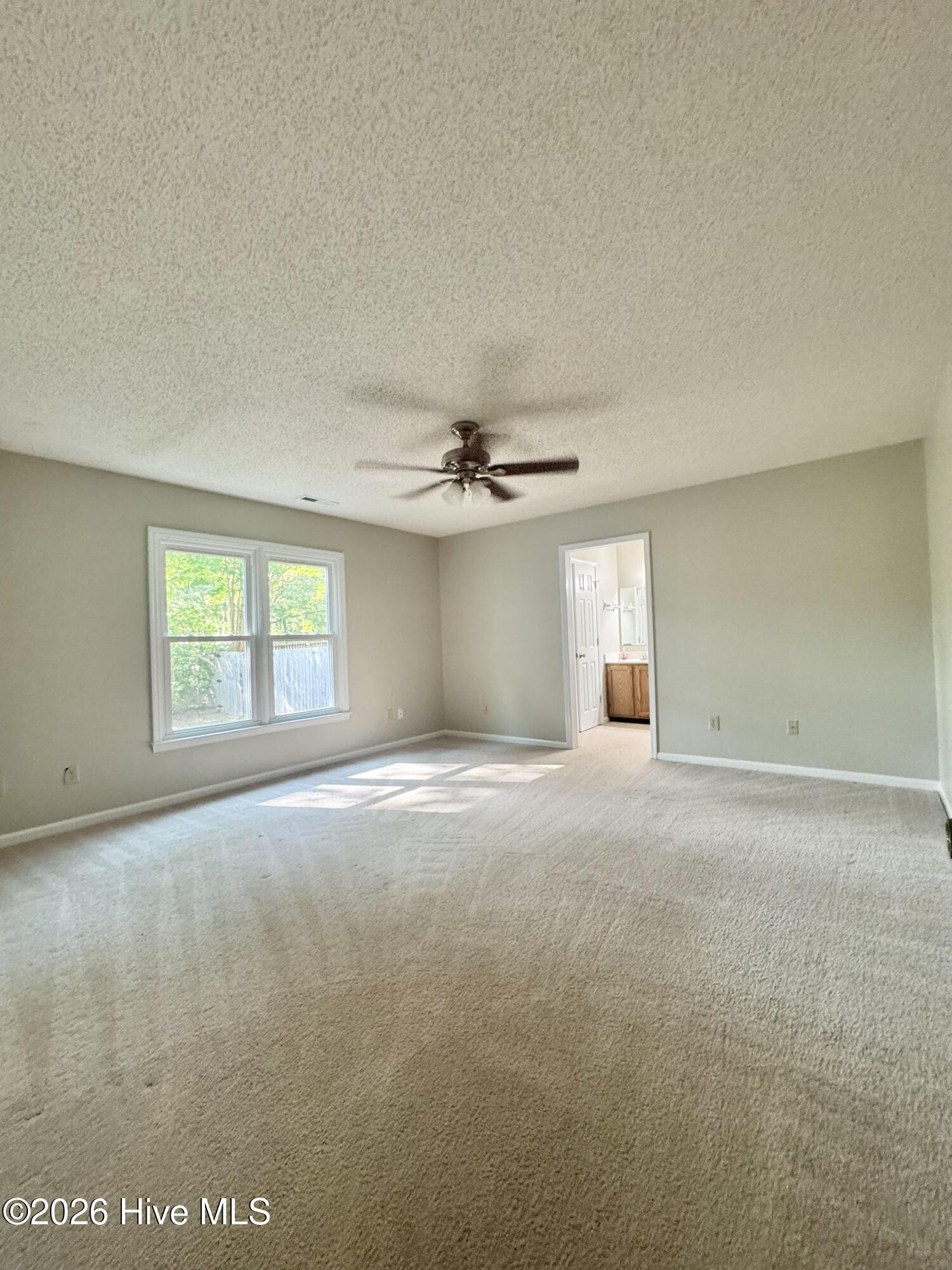 100568535 | Photo 16