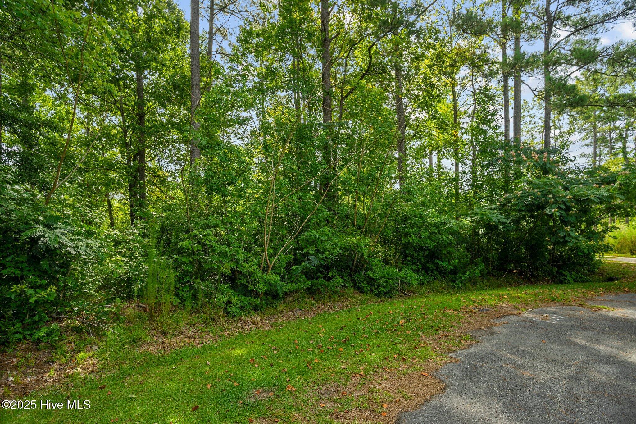 178 Marsh Run, Oriental, NC, 28571