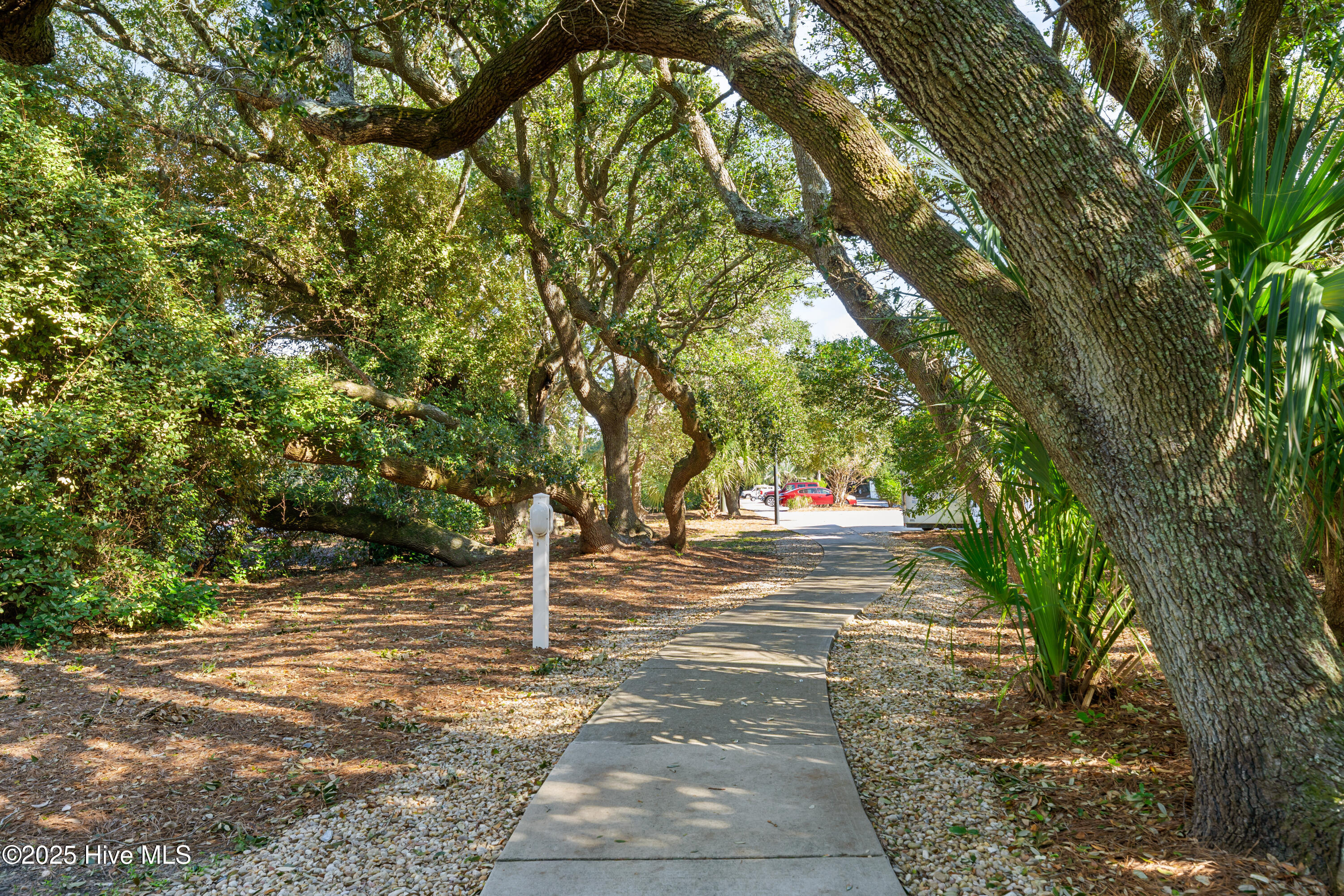 100562977 | Photo 81