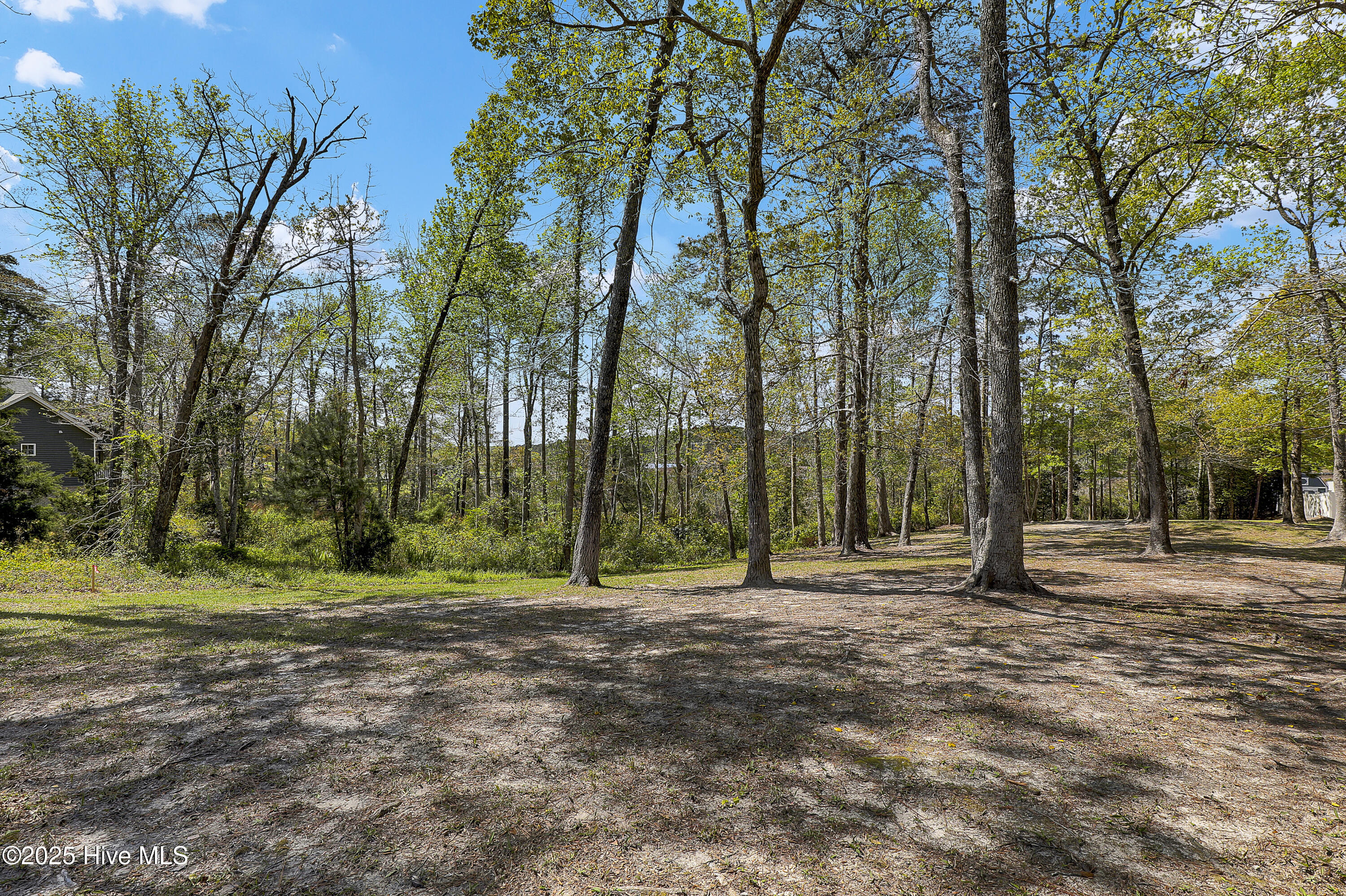 100523714 | Photo 10