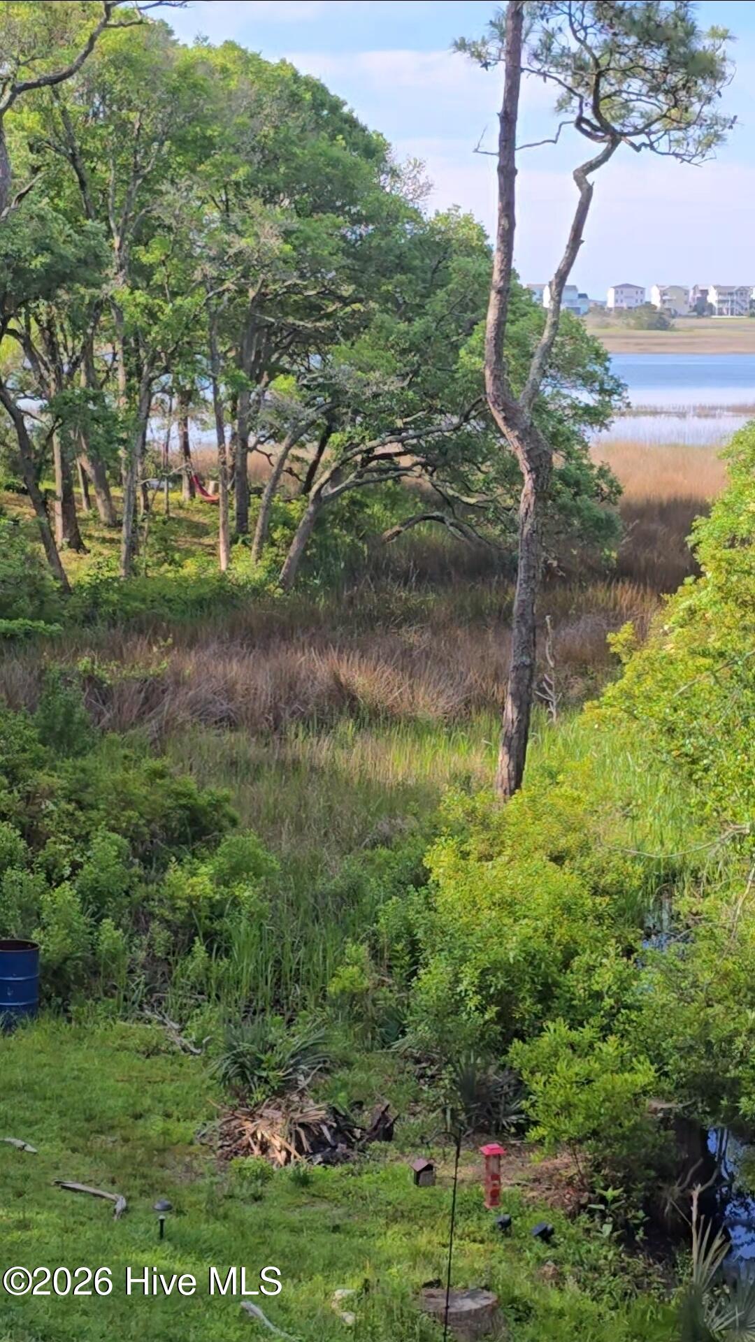 100547303 | Photo 36