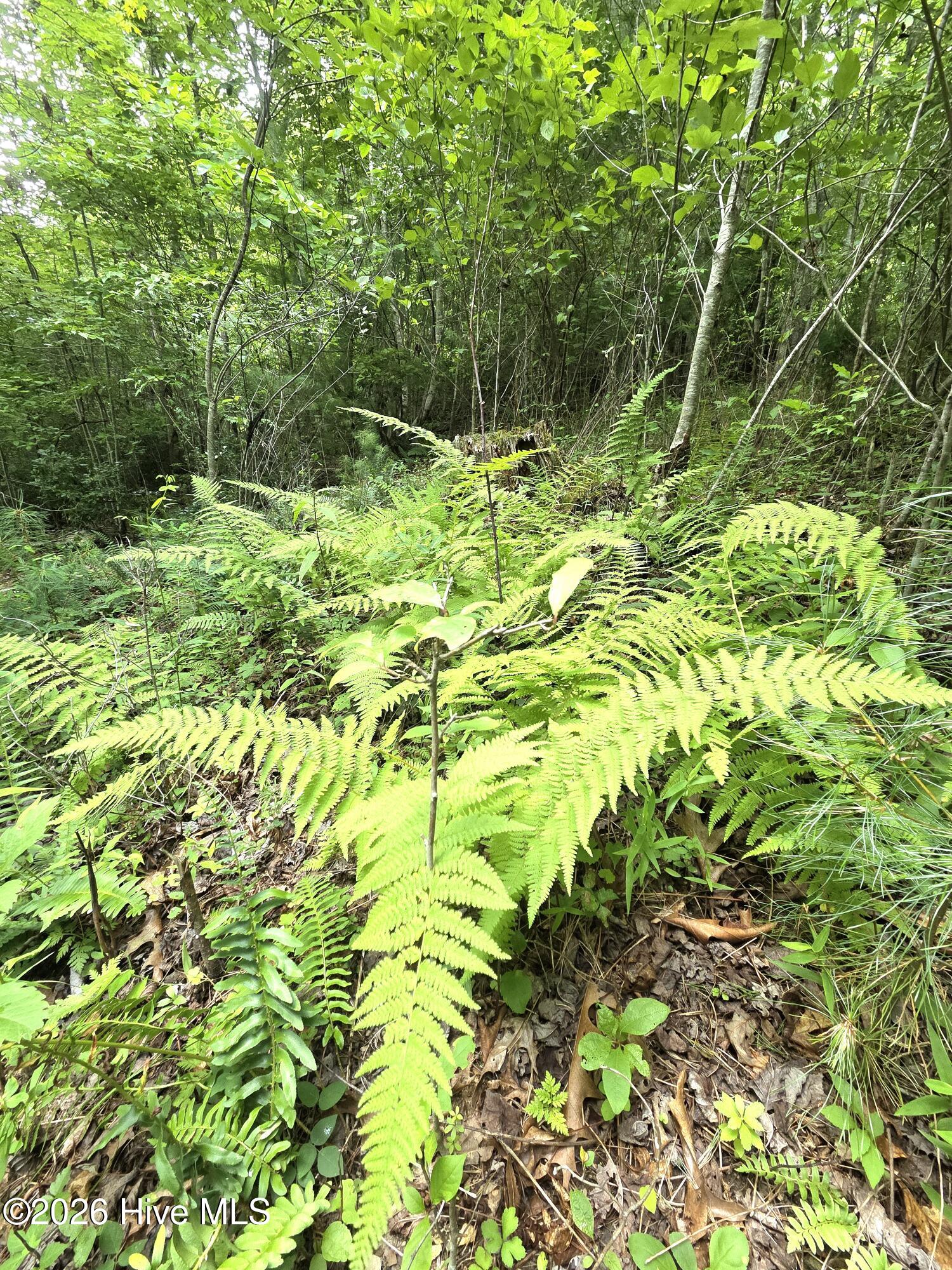 4th image of 50 Camp Branch Rd, Topton, NC 28781 | MLS# 100590283
