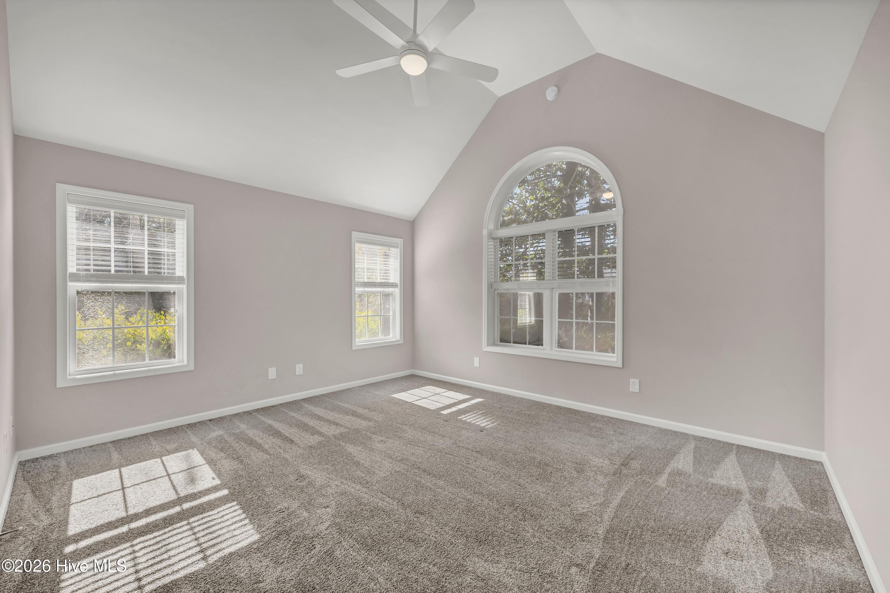 100552166 | Photo 13