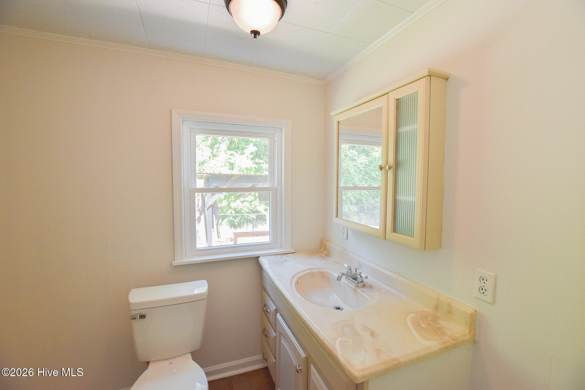 100568599 | Photo 13