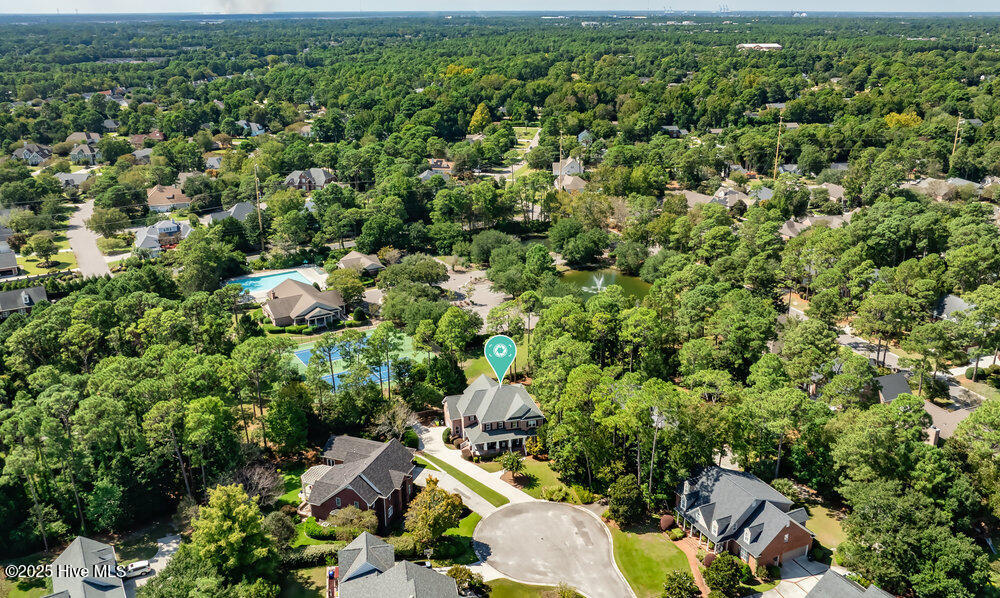 100531667 | Photo 63