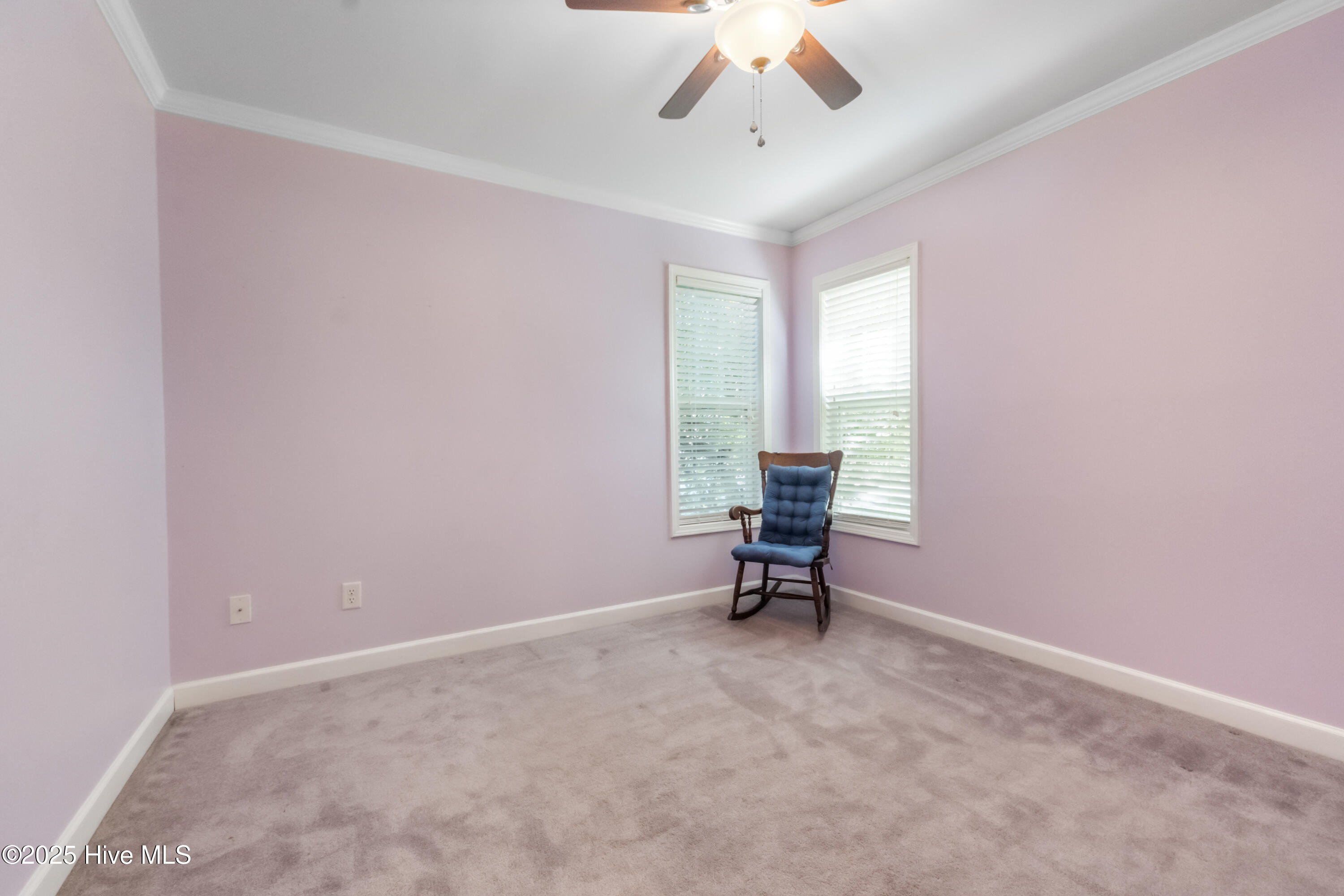 100535506 | Photo 25