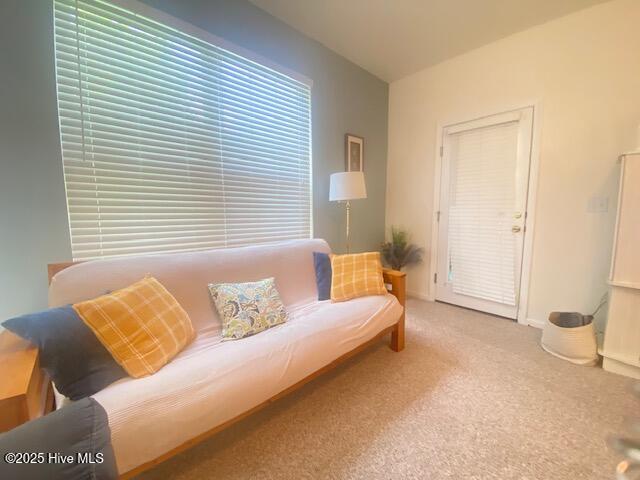 100569390 | Photo 26