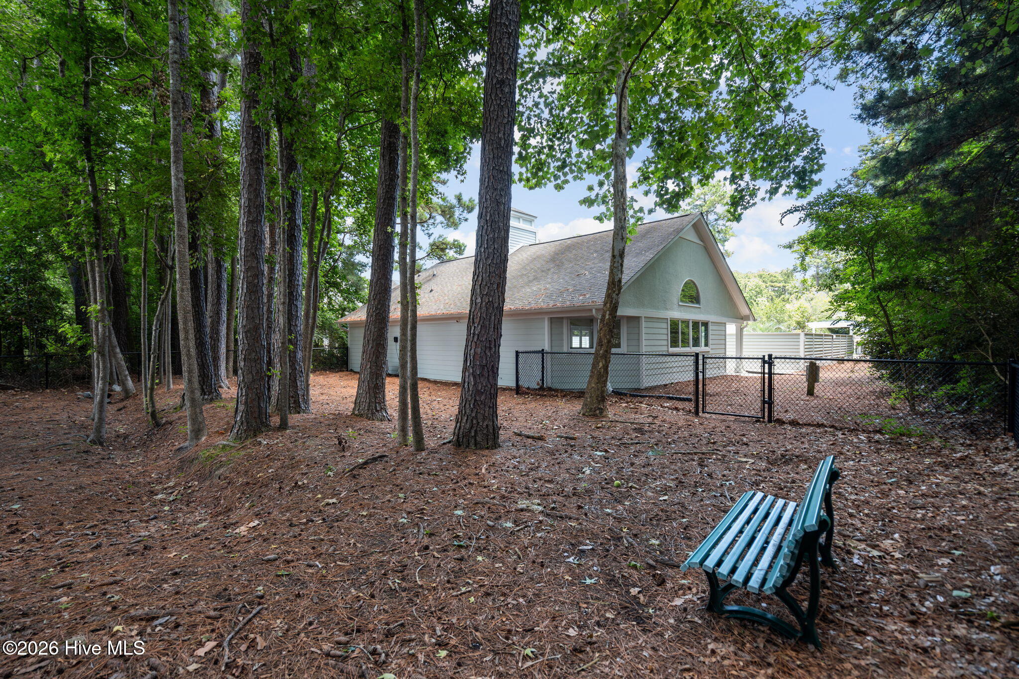 100558805 | Photo 36