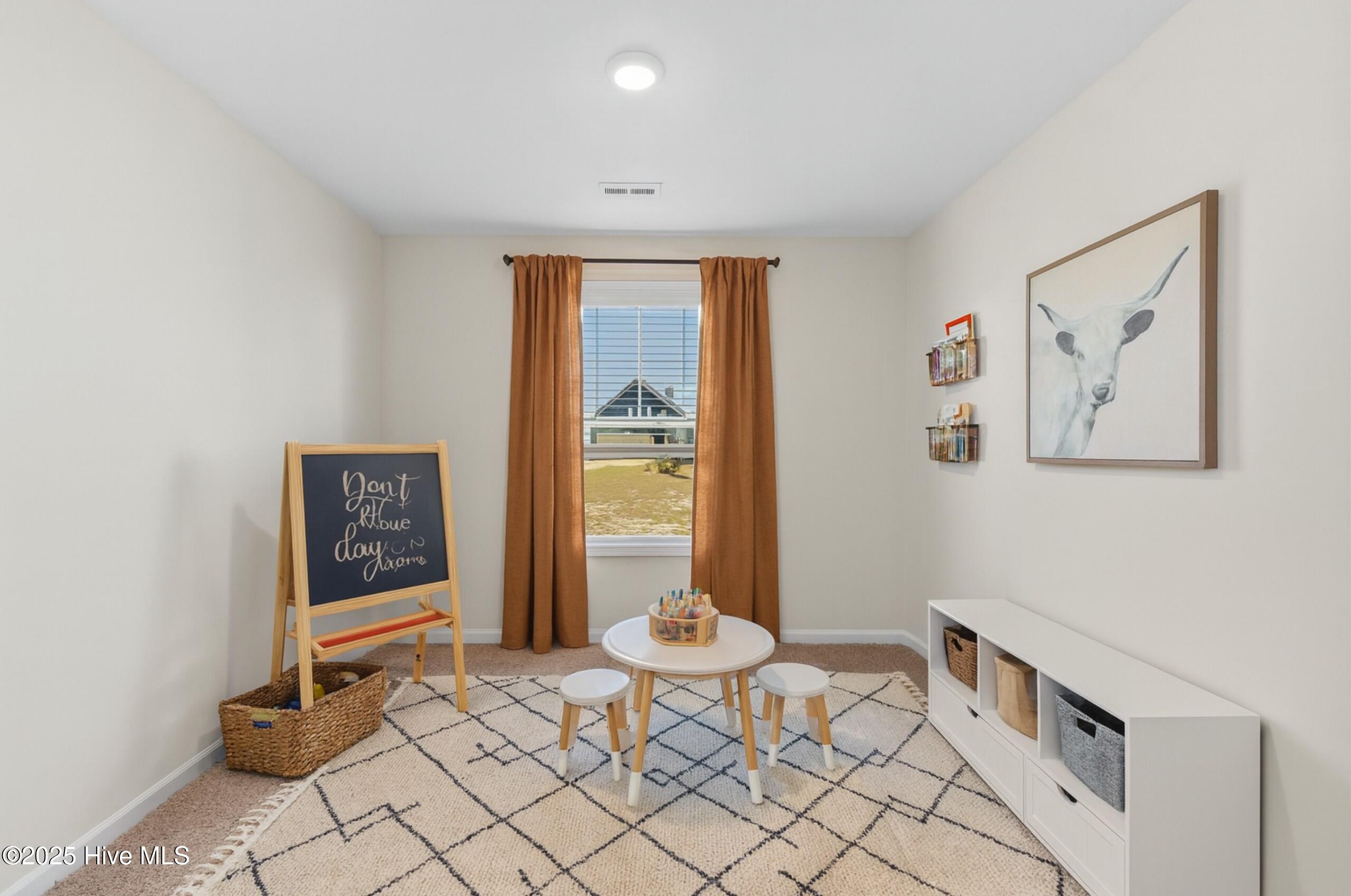 Flex room downstairs